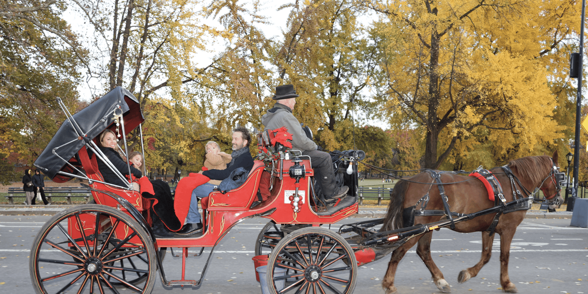 New York City Central Park Horse Carriage Ride 55 min - Image 2