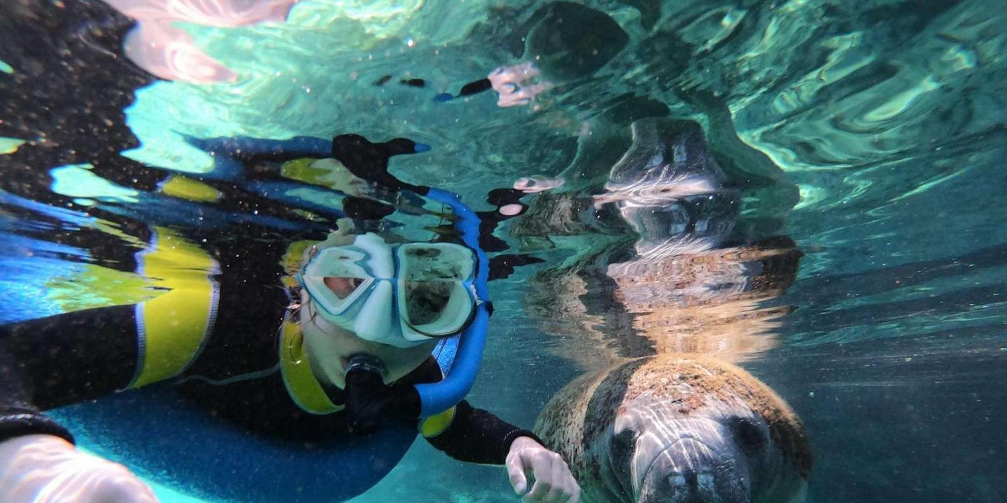 Crystal River Manatee Snorkeling Tour with Guide