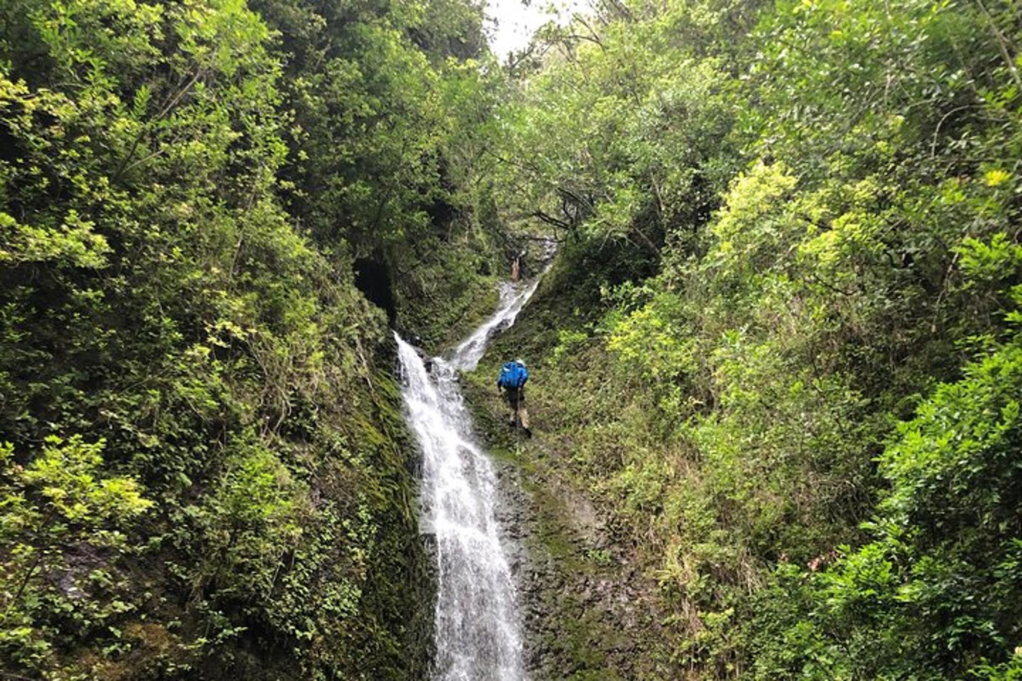Oahu Waterfall Hike and East Side Beach Day - Image 1
