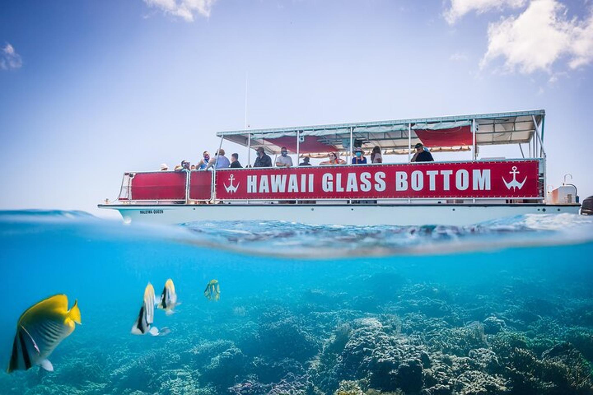 Waikiki Glass Bottom Boat Tour - Image 2