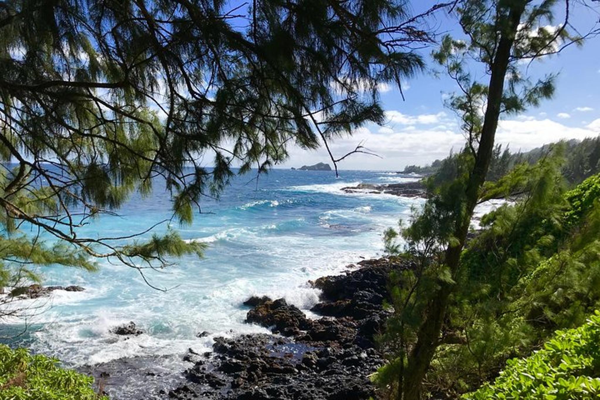 Maui Road to Hana Private Tour 9 hr - Image 5