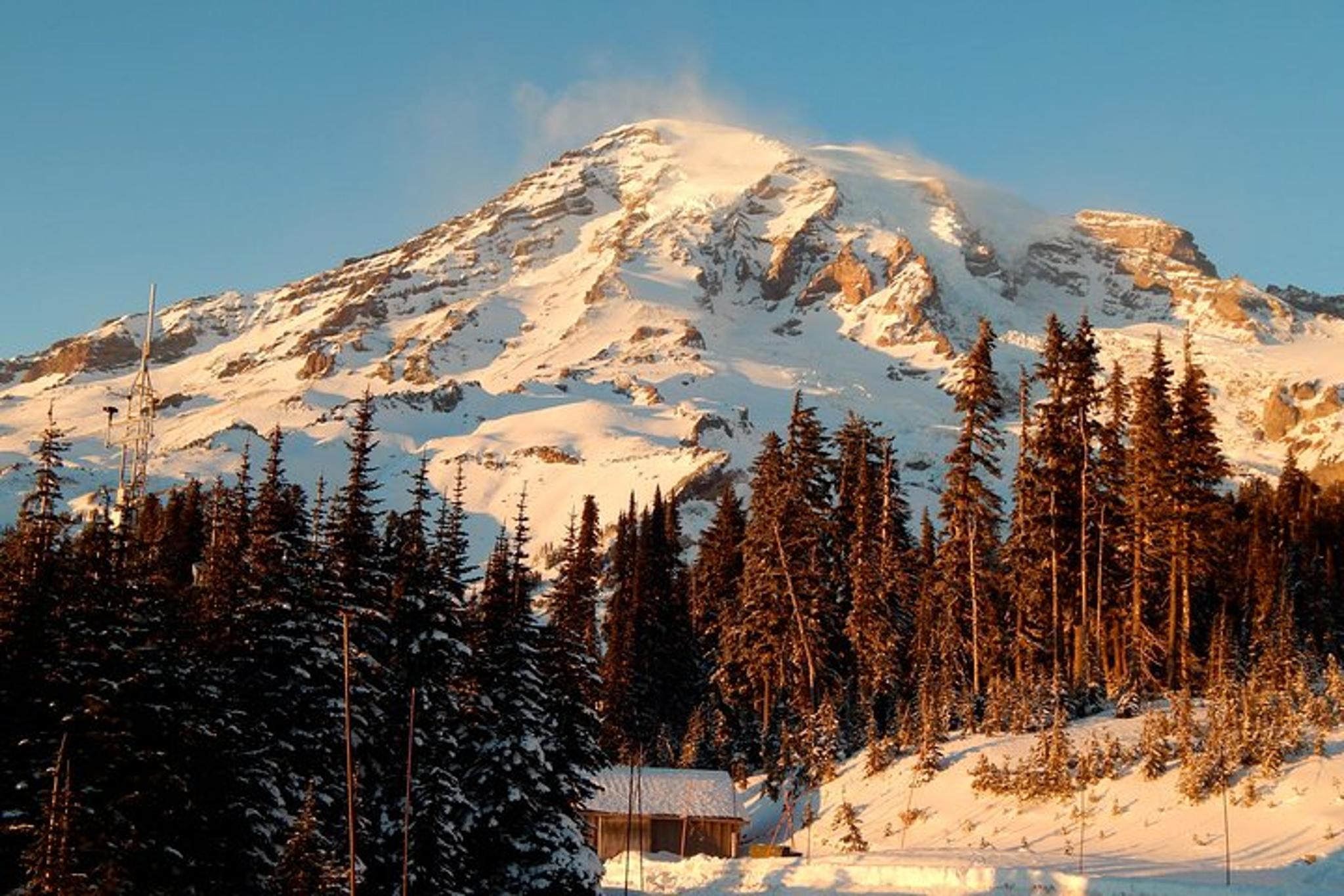 Seattle Mt. Rainier National Park Tour - Image 6