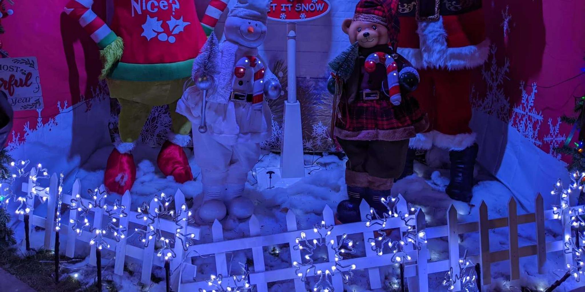 New York Christmas Lights Tour - Image 2
