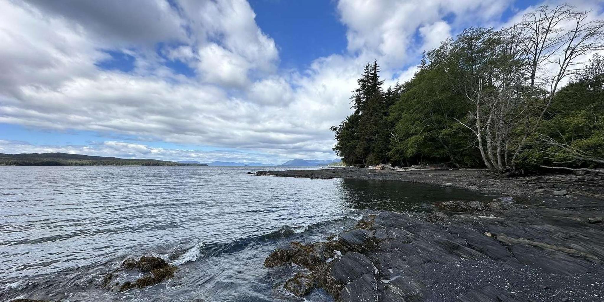 Ketchikan Rainforest Walk and Totem Park Tour - Image 4