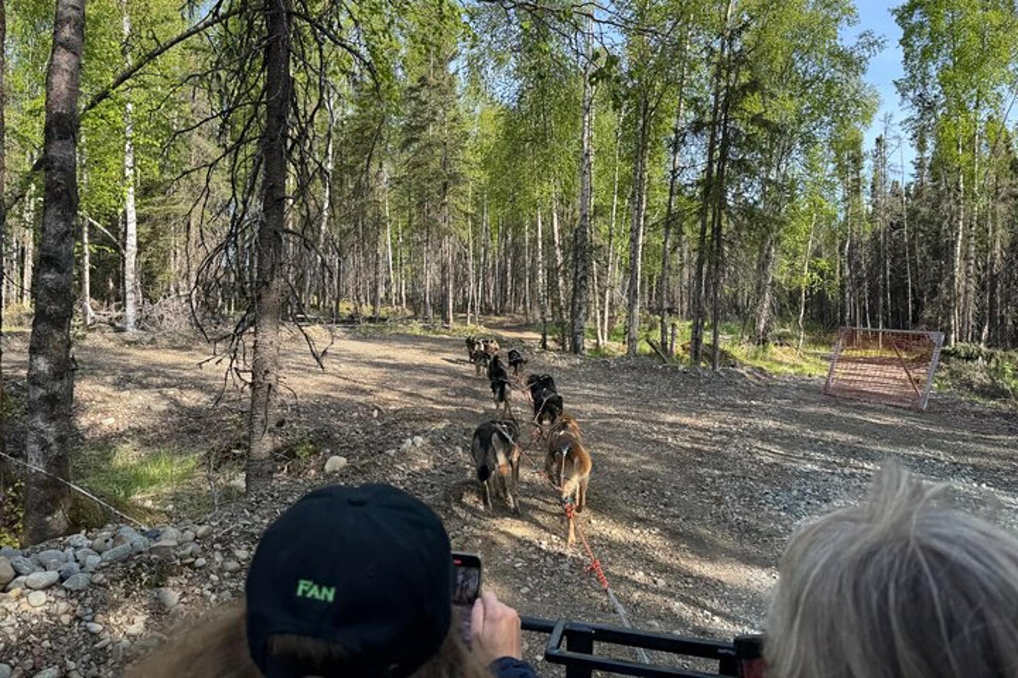 Anchorage Dog Sledding Experience - Image 5