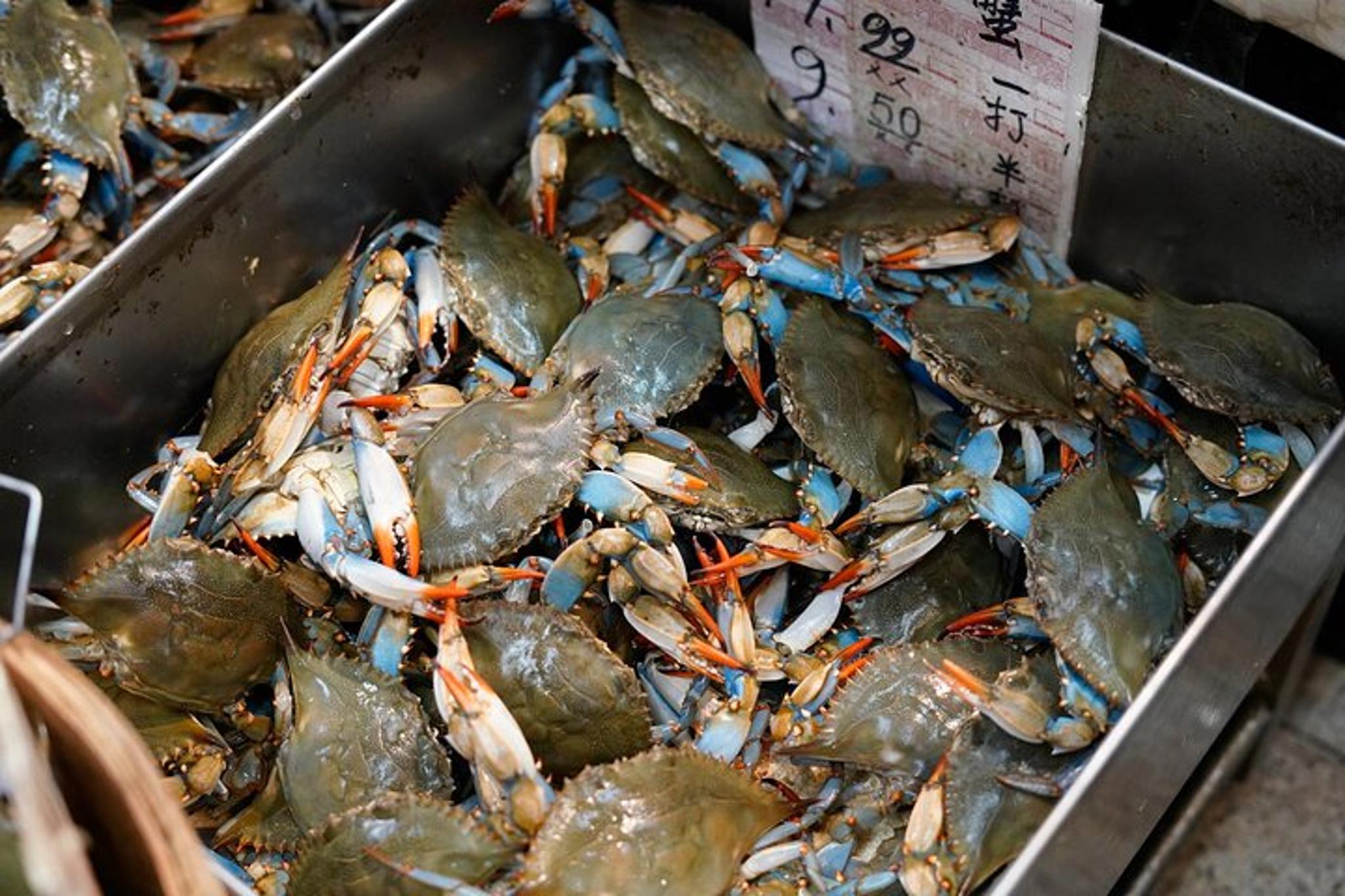 Manhattan Chinatown Food Tour with a Chef - Image 5