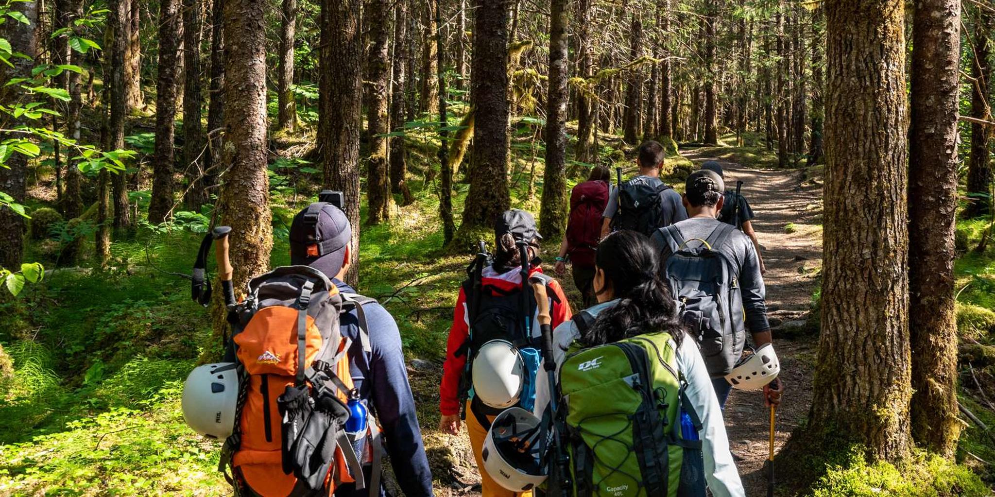 Juneau Mendenhall Glacier Guided Hike - Image 3