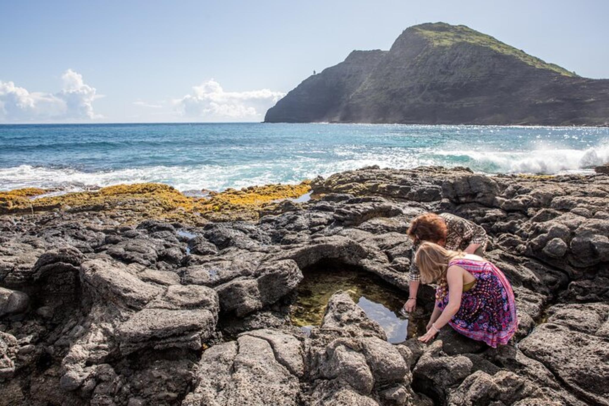 Oahu Private Tour - Image 5