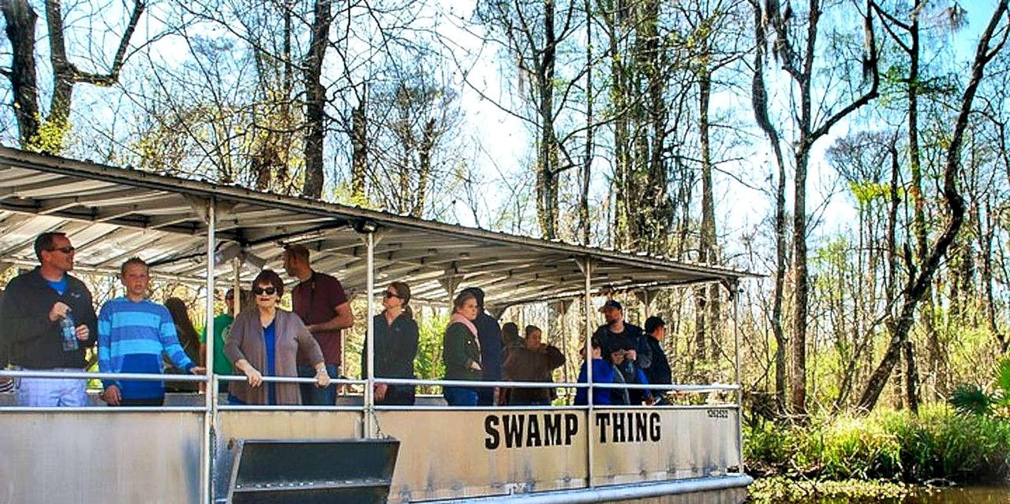 New Orleans Swamp Boat and Plantation Tour - Image 3