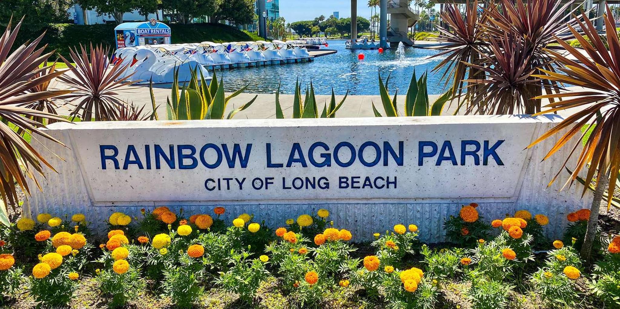 Long Beach Swan Boat Rental at Rainbow Lagoon - Image 4