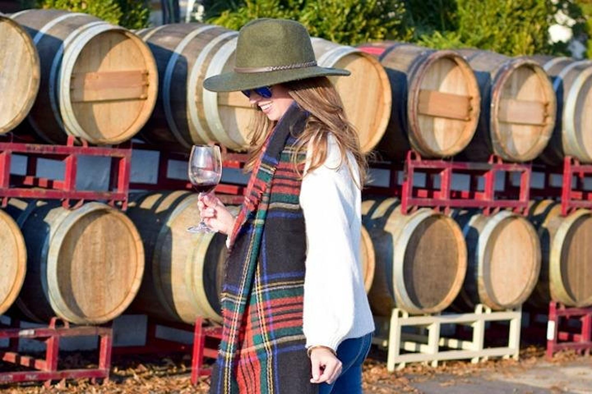 Northern Virginia Private Wine Tour - Image 4