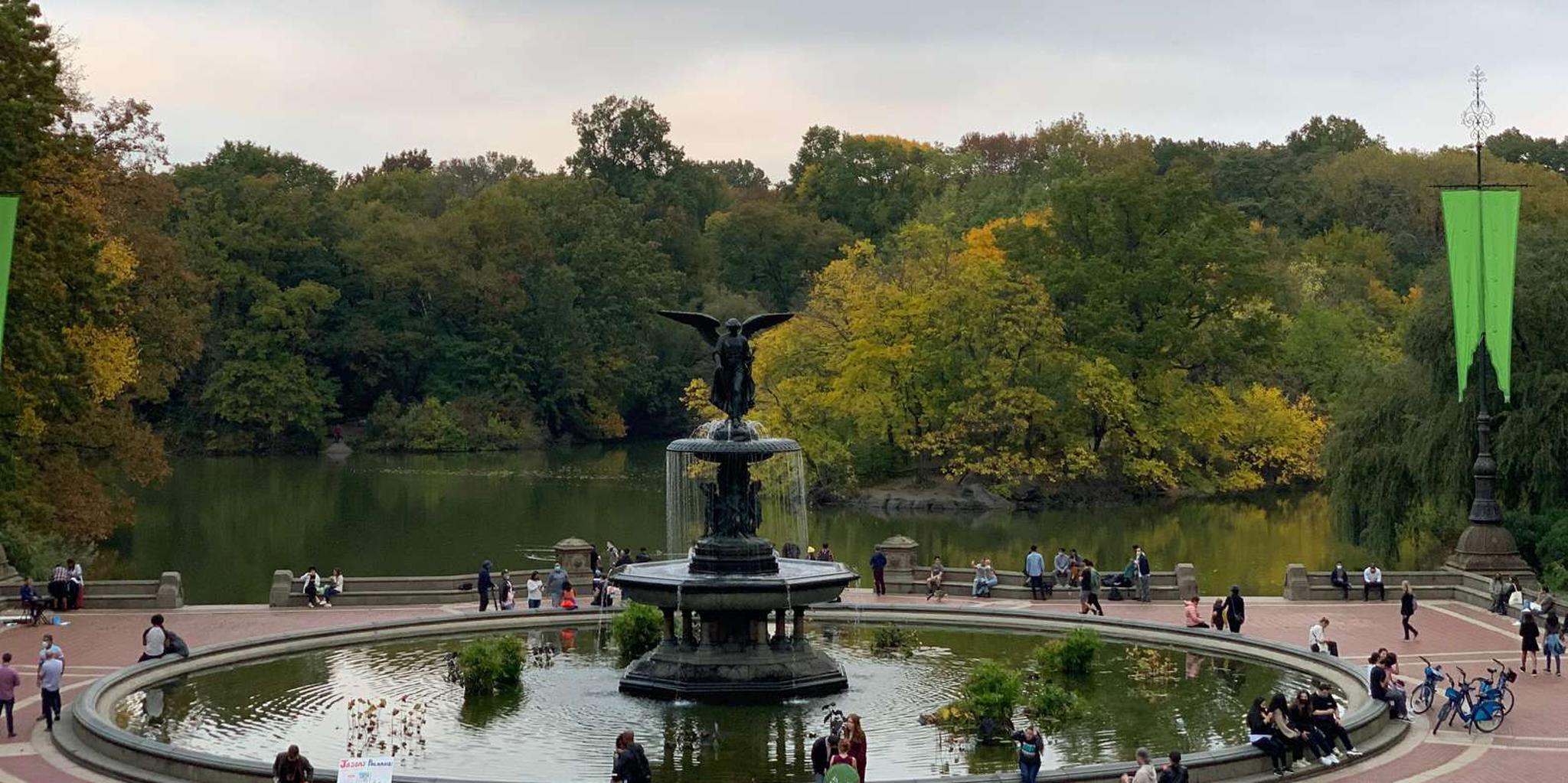 New York City Central Park Horse Carriage Ride - Image 5