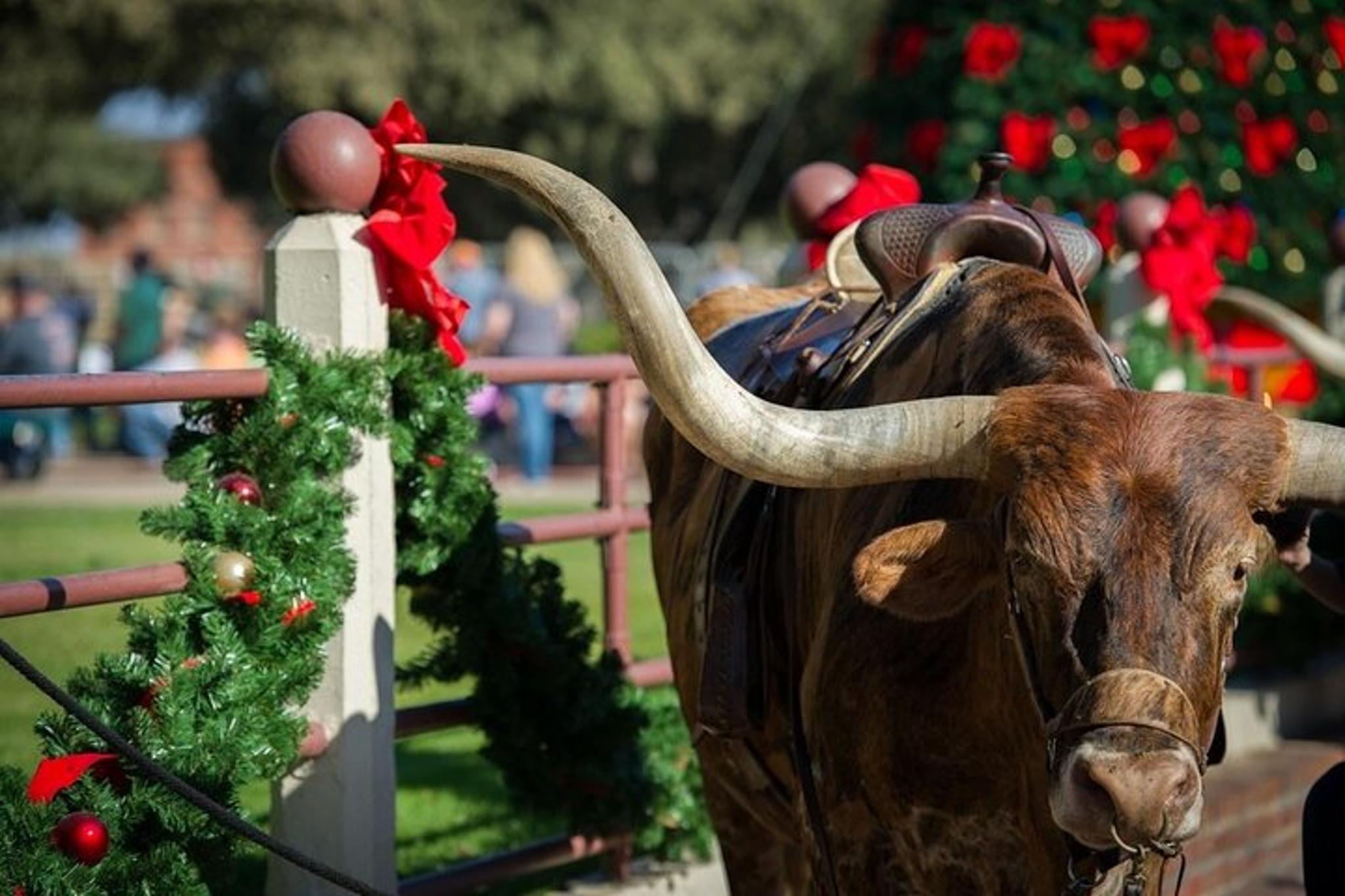 Fort Worth Stockyards Food & Culture Tour