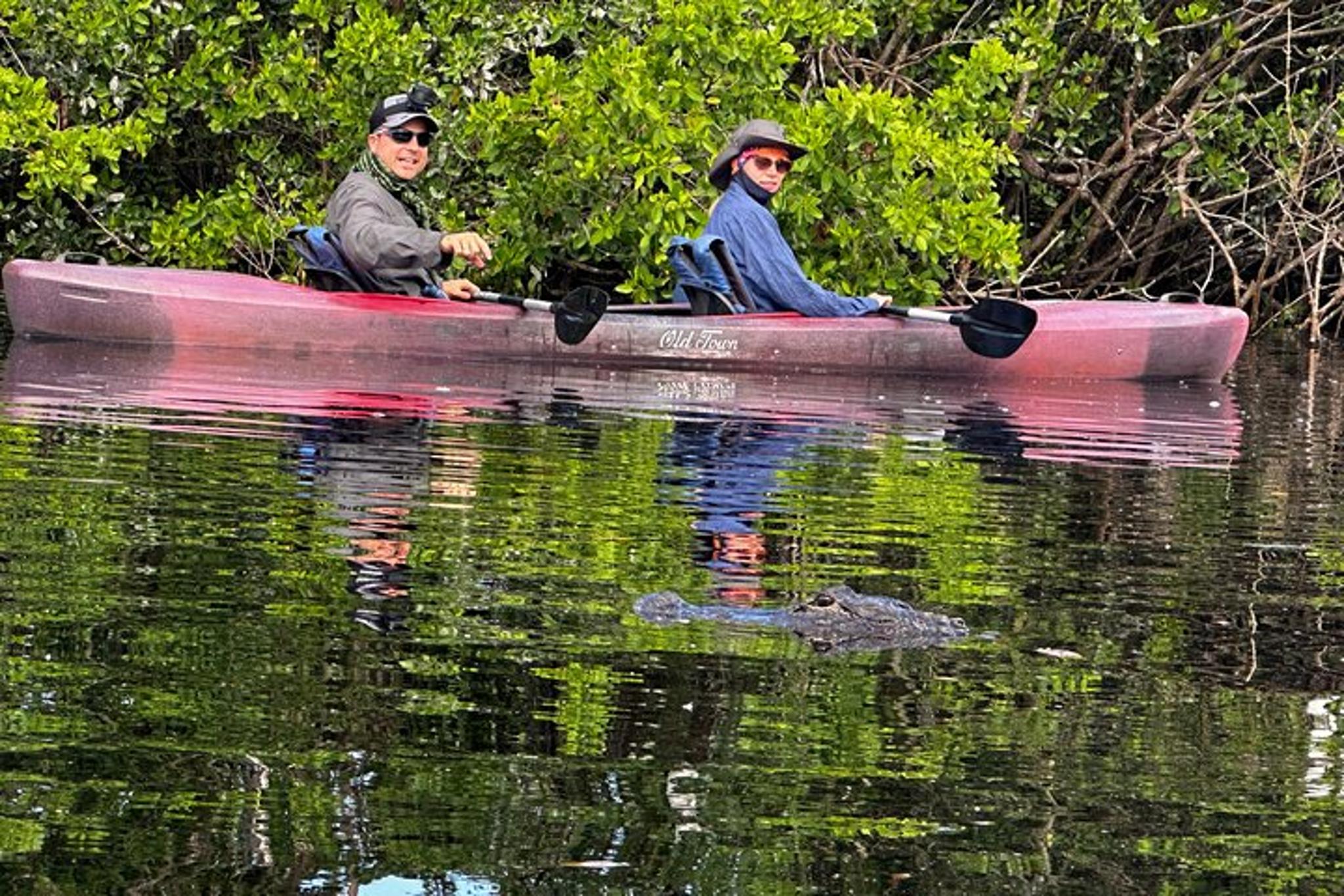 Everglades Kayak Tour at Sunset - Image 5