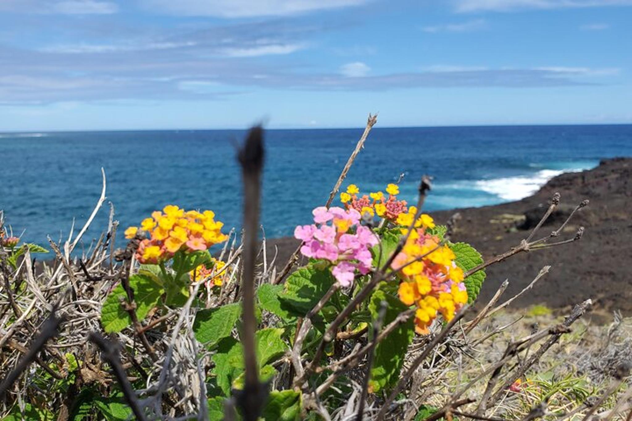 Big Island ATV Adventure - Image 6