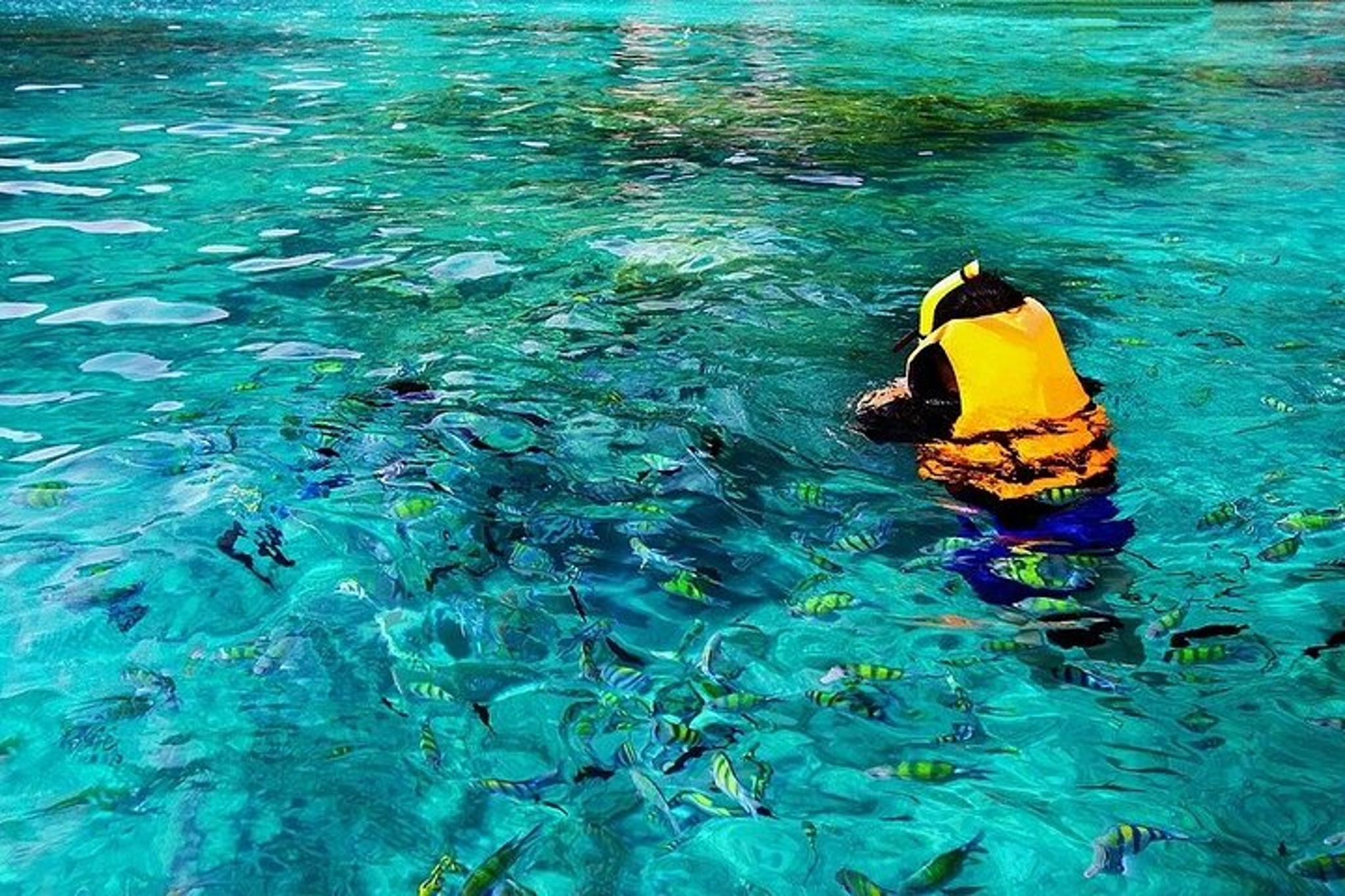 Kona Snorkel Tour: Captain Cook Reef & Sea Caves - Image 3