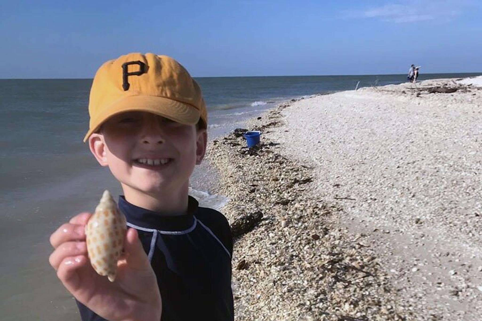 Marco Island Dolphin, Shelling, and Birding Eco Boat Tour - Image 6