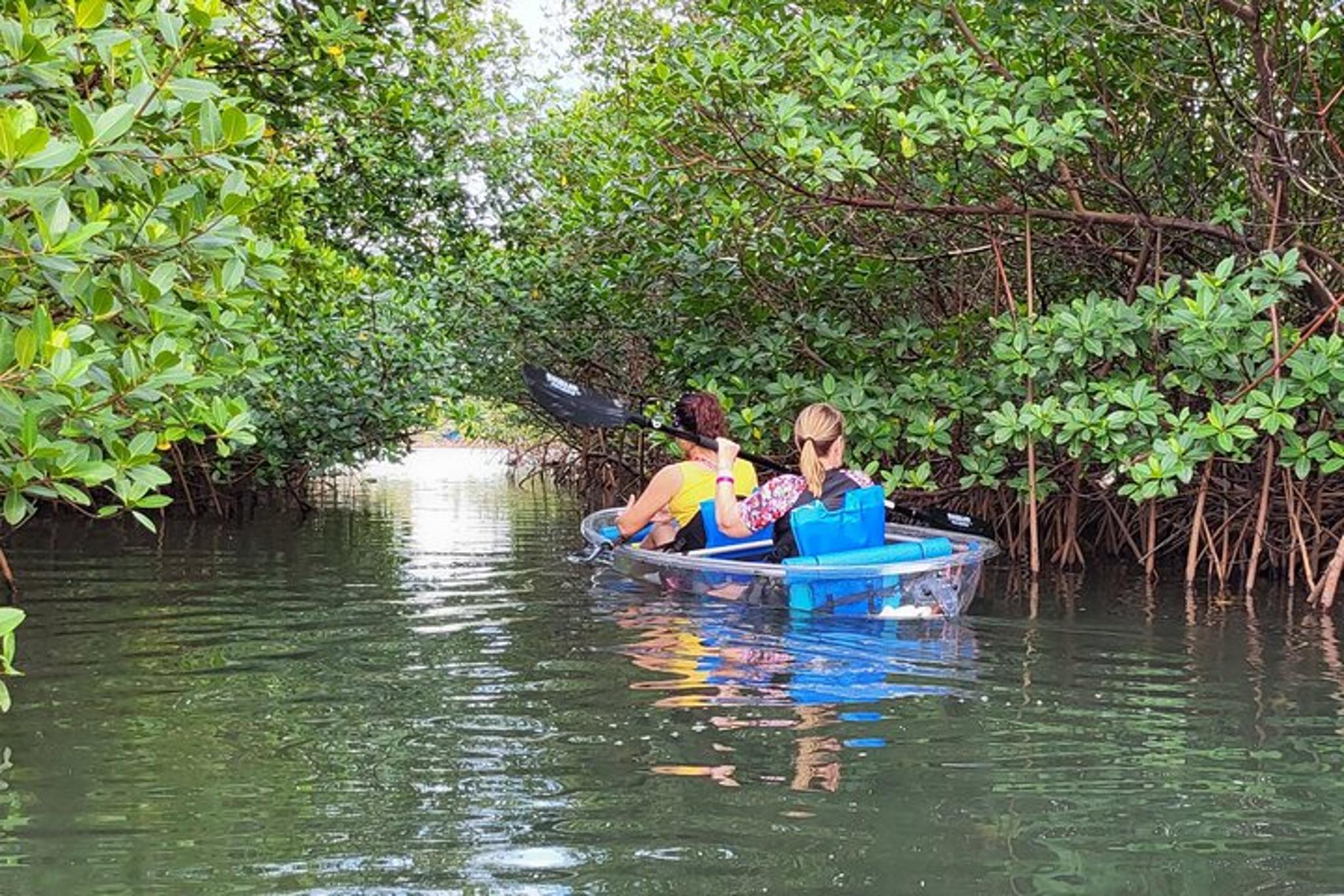 Jupiter Clear Kayak Eco Tour - Image 4