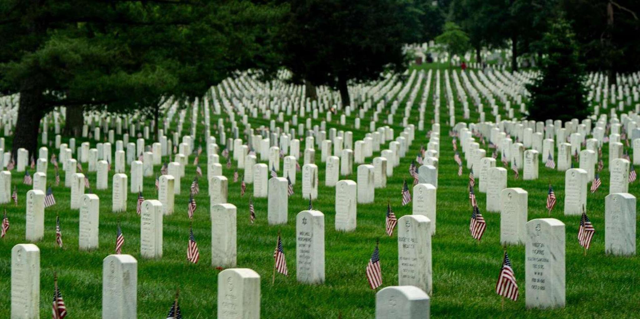 New York to Washington D.C. Day Trip - Image 4