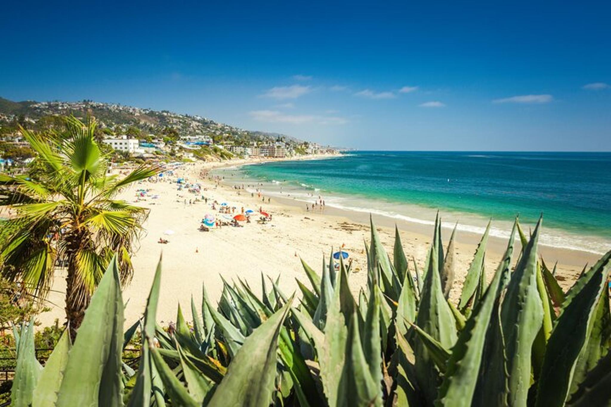 Laguna Beach Family Walking Tour - Image 6