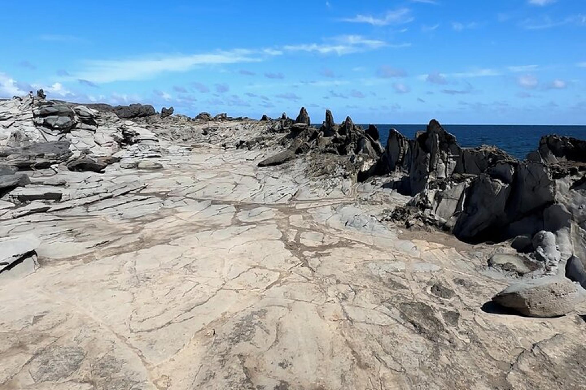 Maui Coastline Open-Air Jeep Tour - Image 6