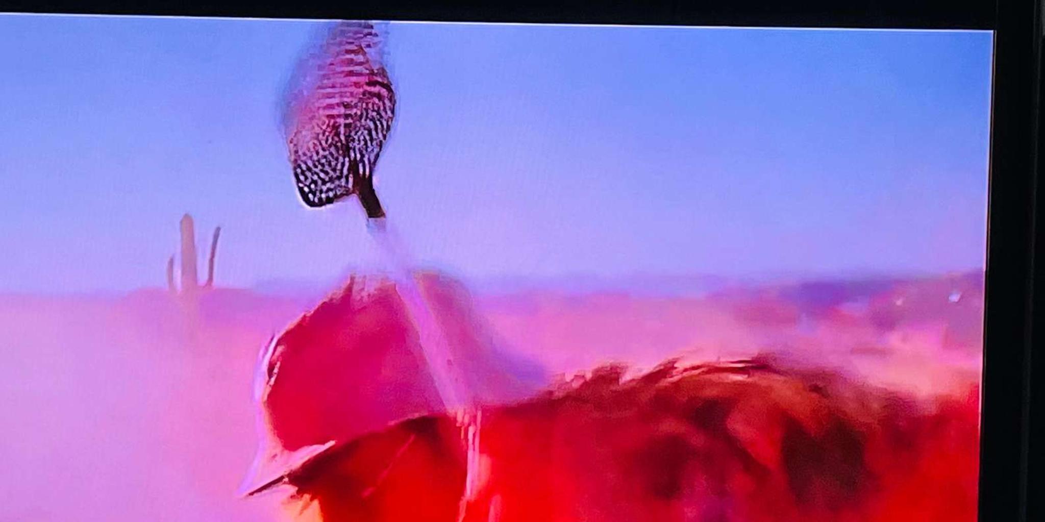 Las Vegas Fear and Loathing Tour - Image 2