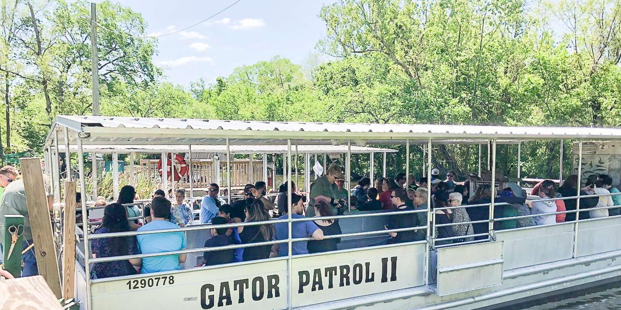 New Orleans Manchac Bayou Swamp Cruise - Image 2