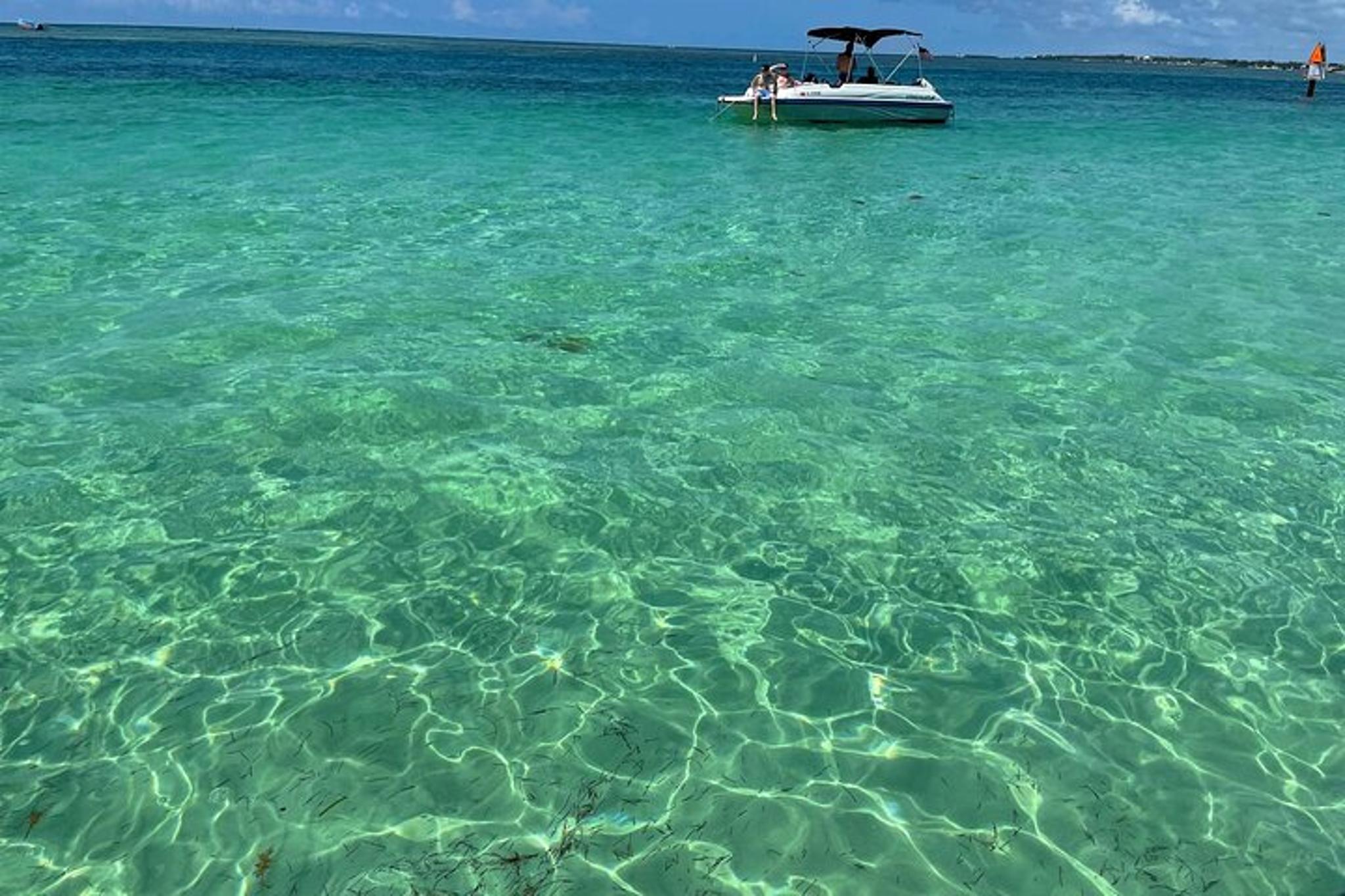 Key Largo Sandbar Excursion - Image 3