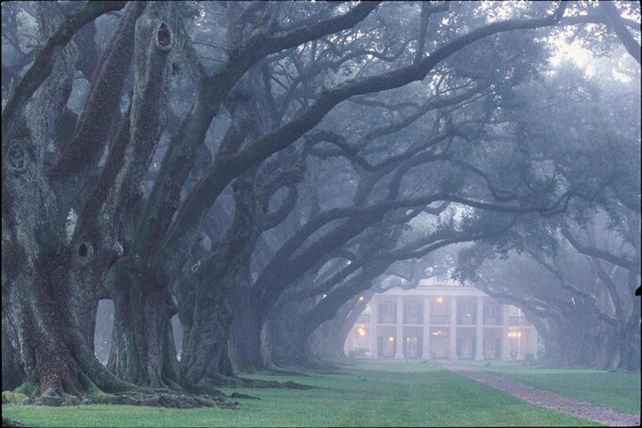 New Orleans Oak Alley Plantation Tour - Image 5