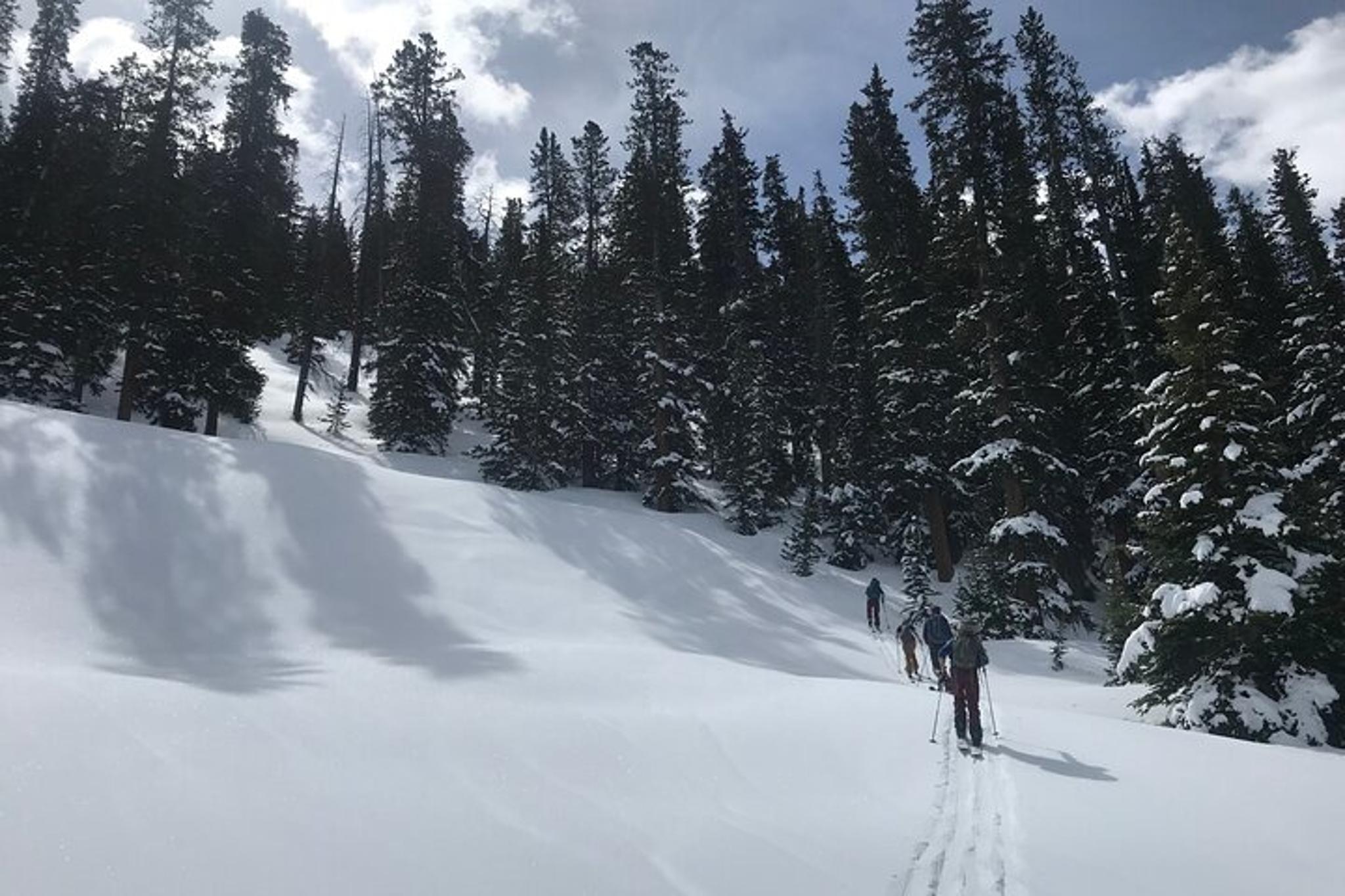 Denver Airport Transfer to Vail or Beaver Creek - Image 2