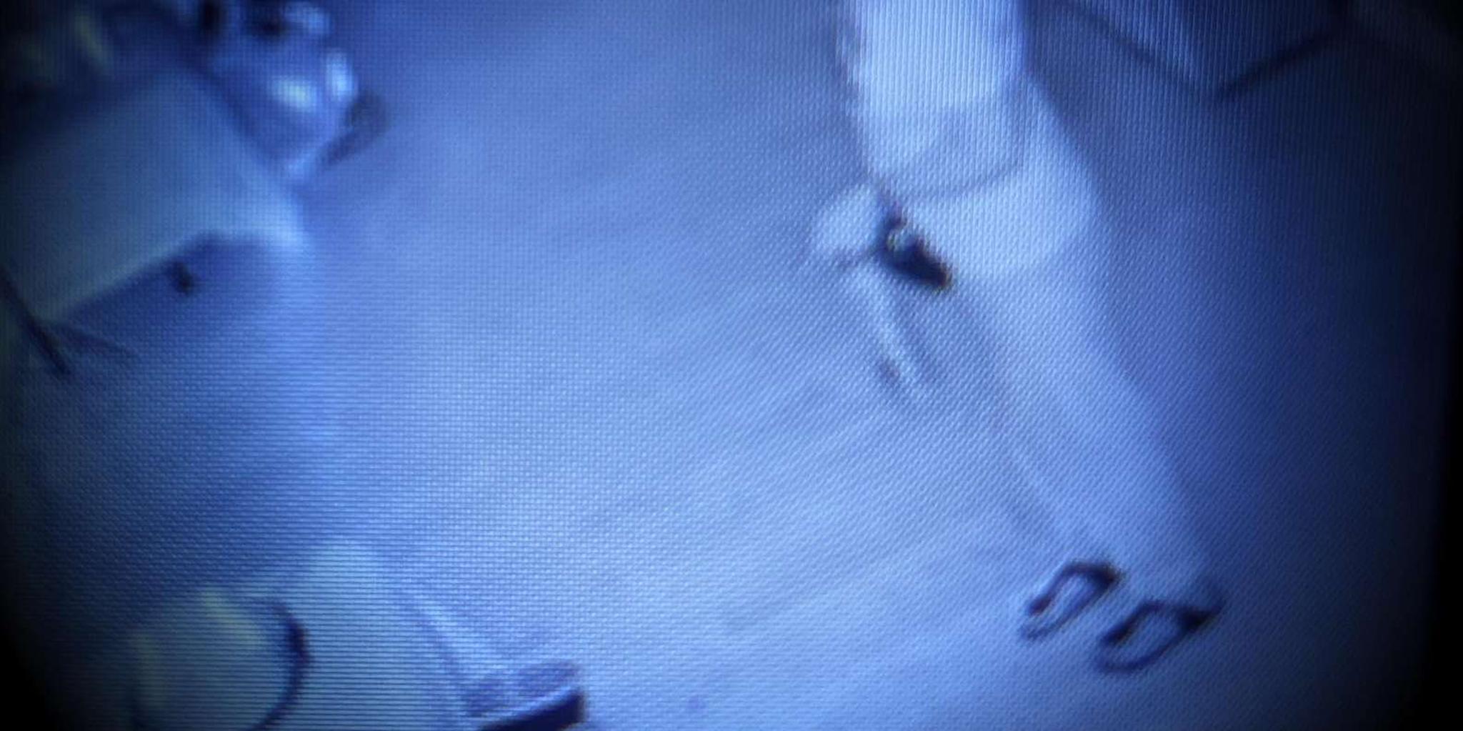 Key West Haunted Firehouse Ghost Hunt 2 hr - Image 4