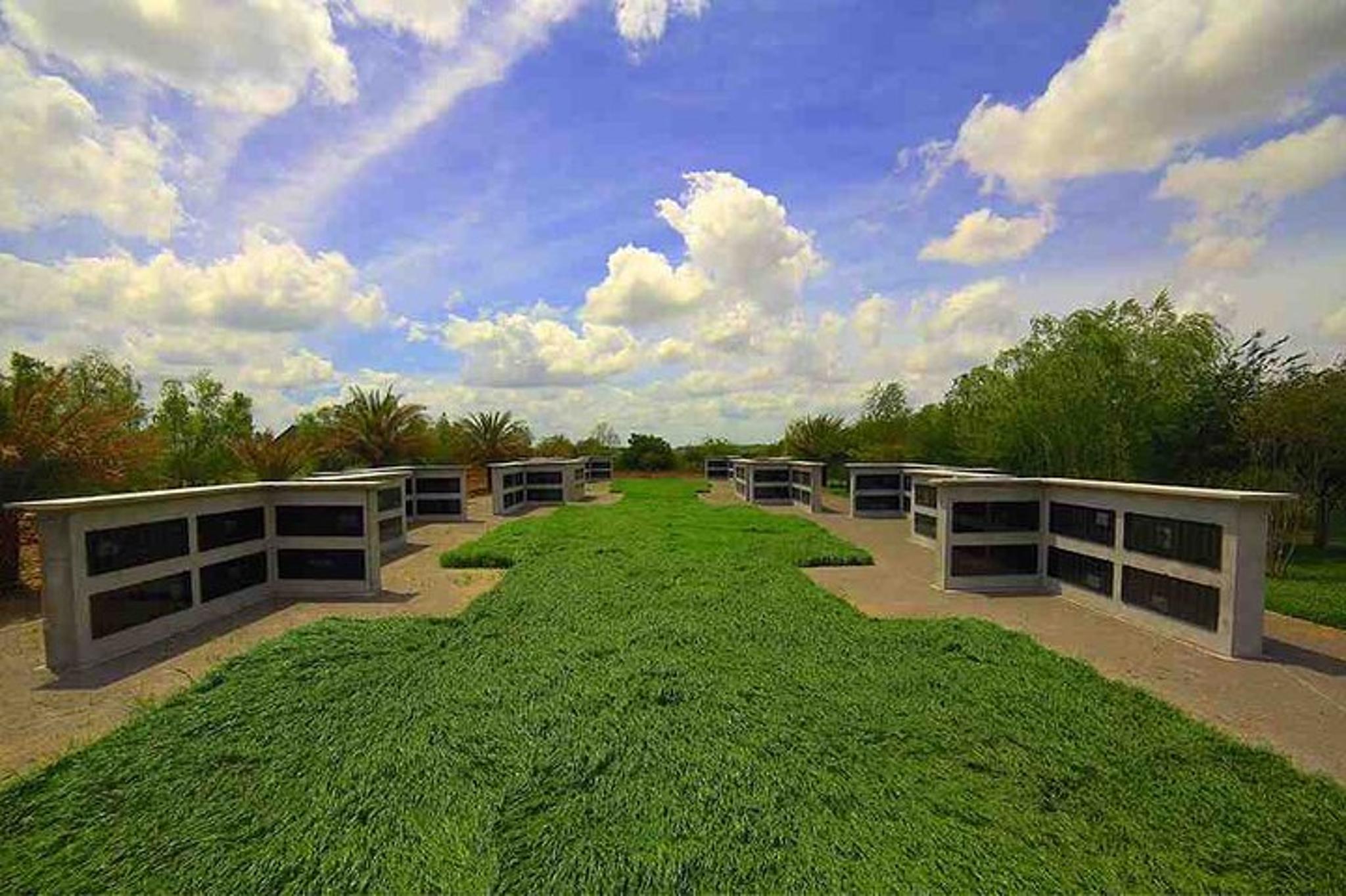 New Orleans Whitney Plantation Tour with Transport - Image 3