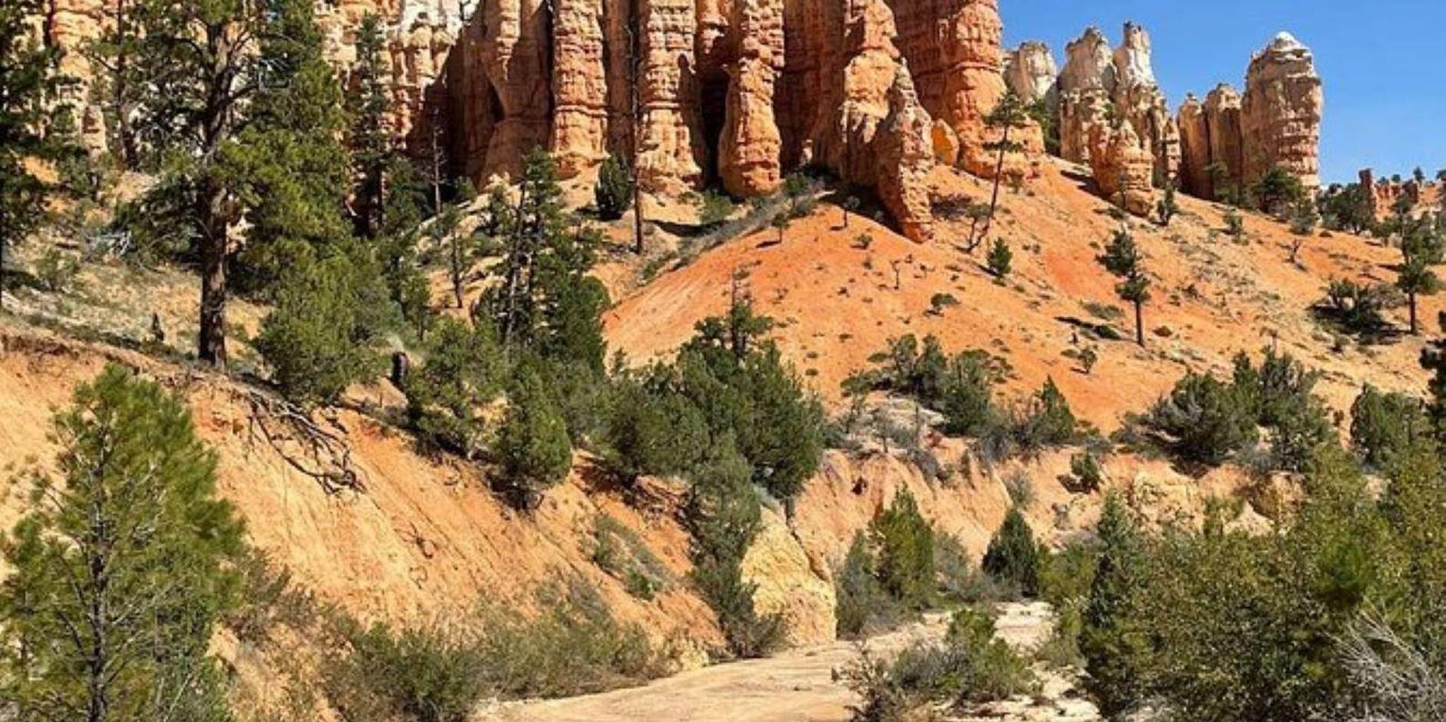 Las Vegas Zion National Park Private Tour
