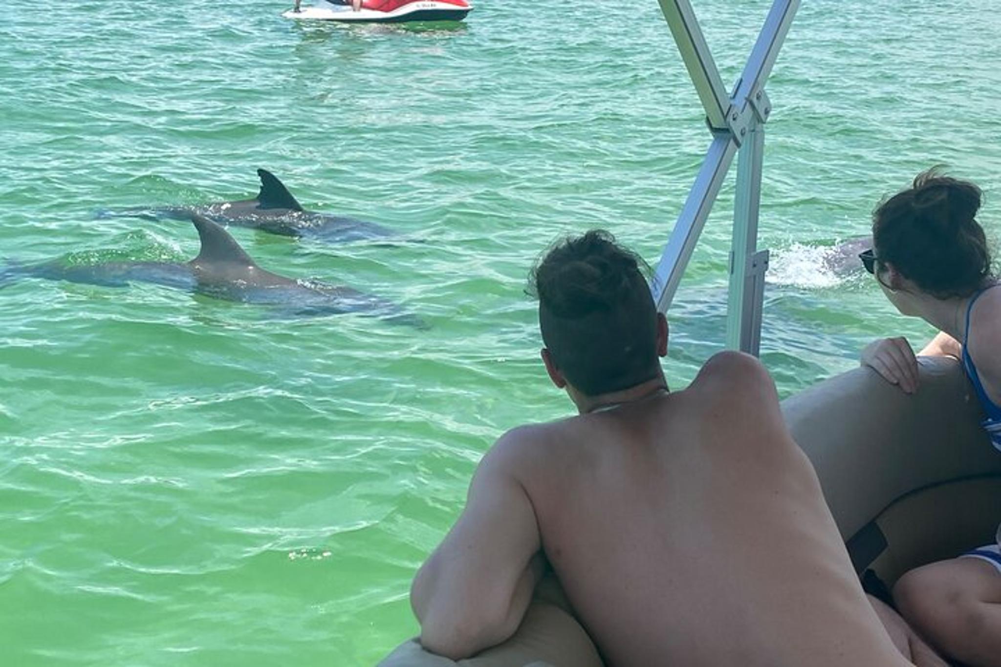 Fort Myers Dolphin and Sandbar Cruise 4 hr - Image 5