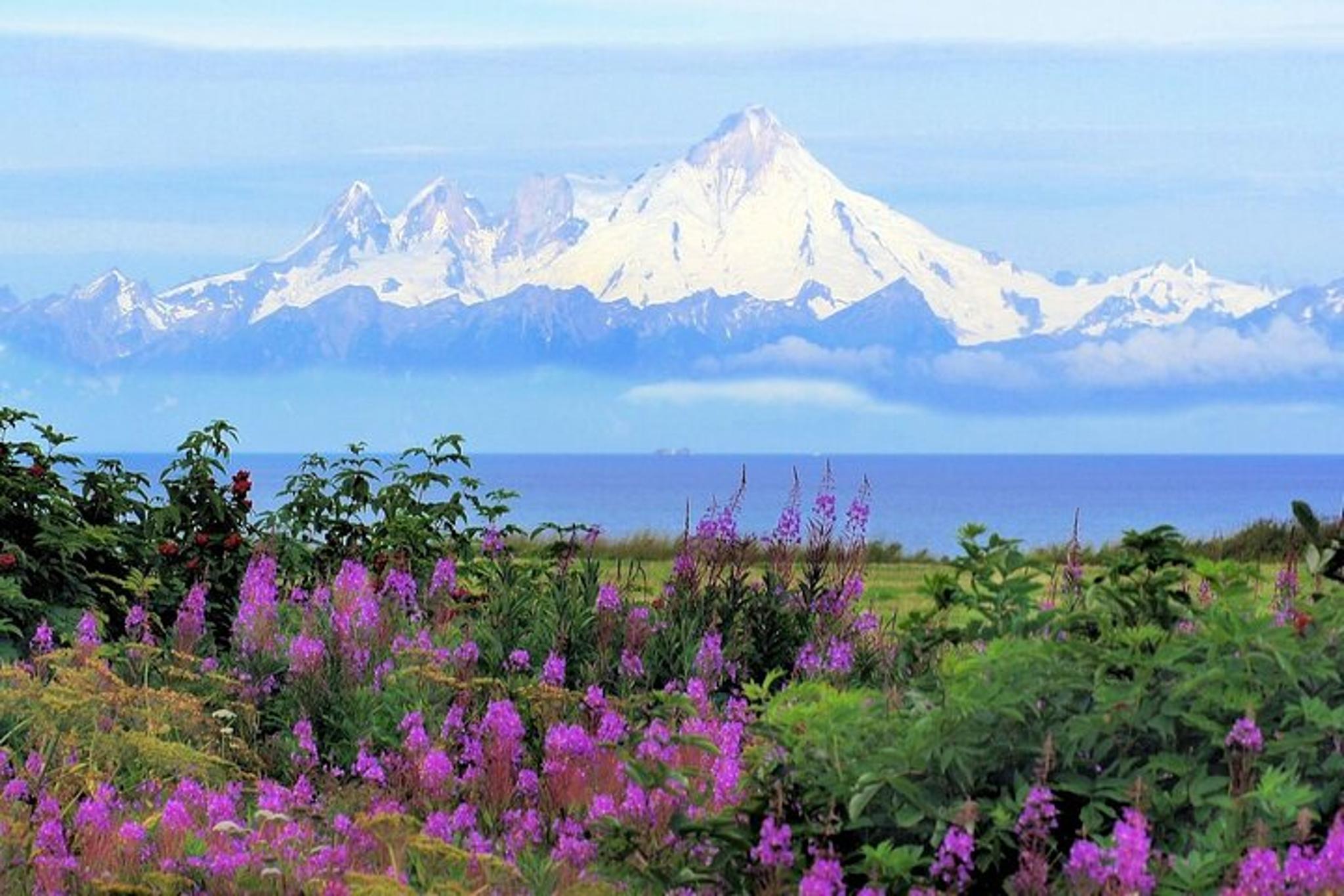 Seward to Anchorage Private Transfer - Image 5