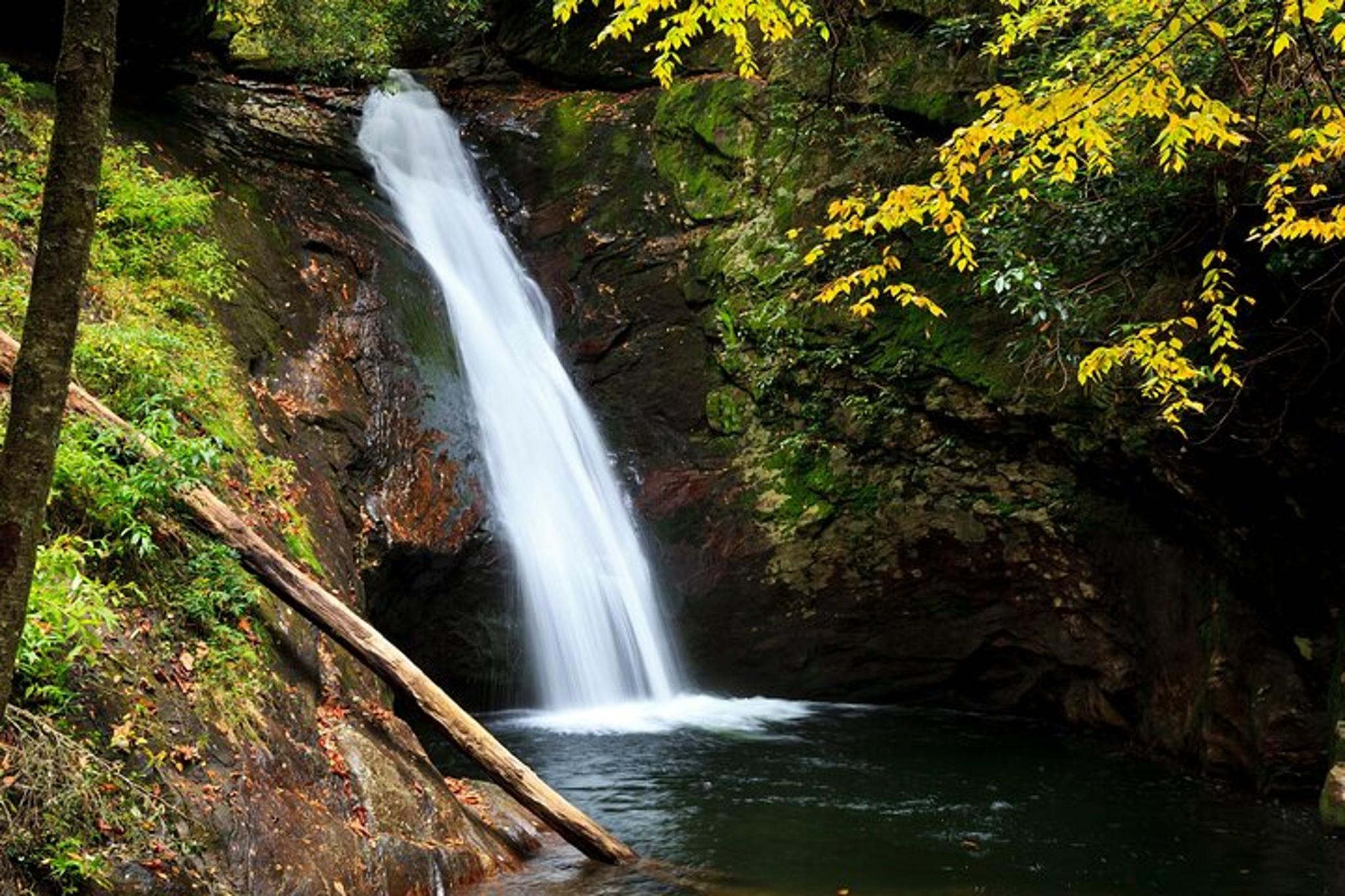 Asheville Waterfalls Hike 4 hr - Image 3