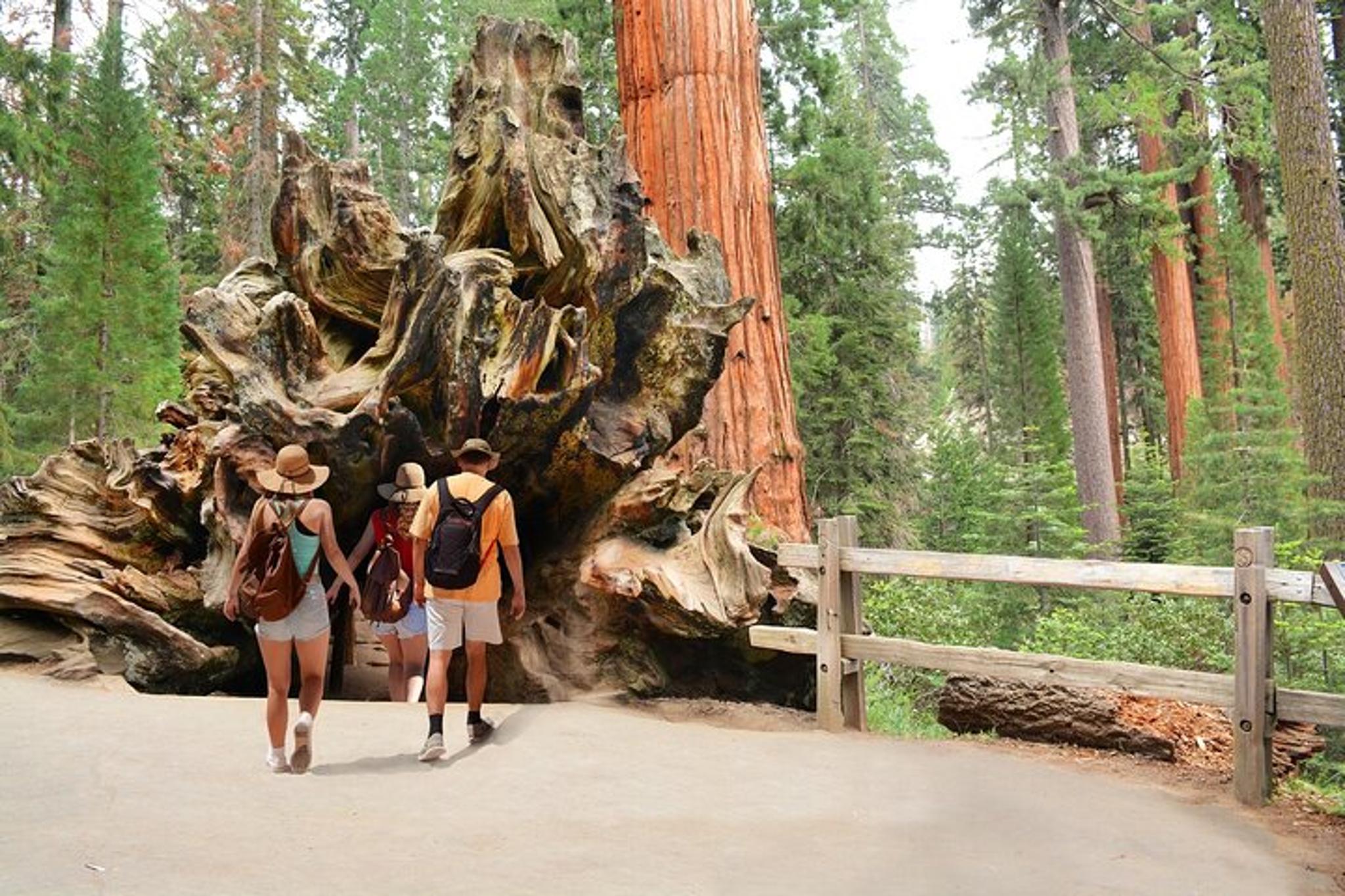 Kings Canyon National Park Self-Guided Audio Tour - Image 3