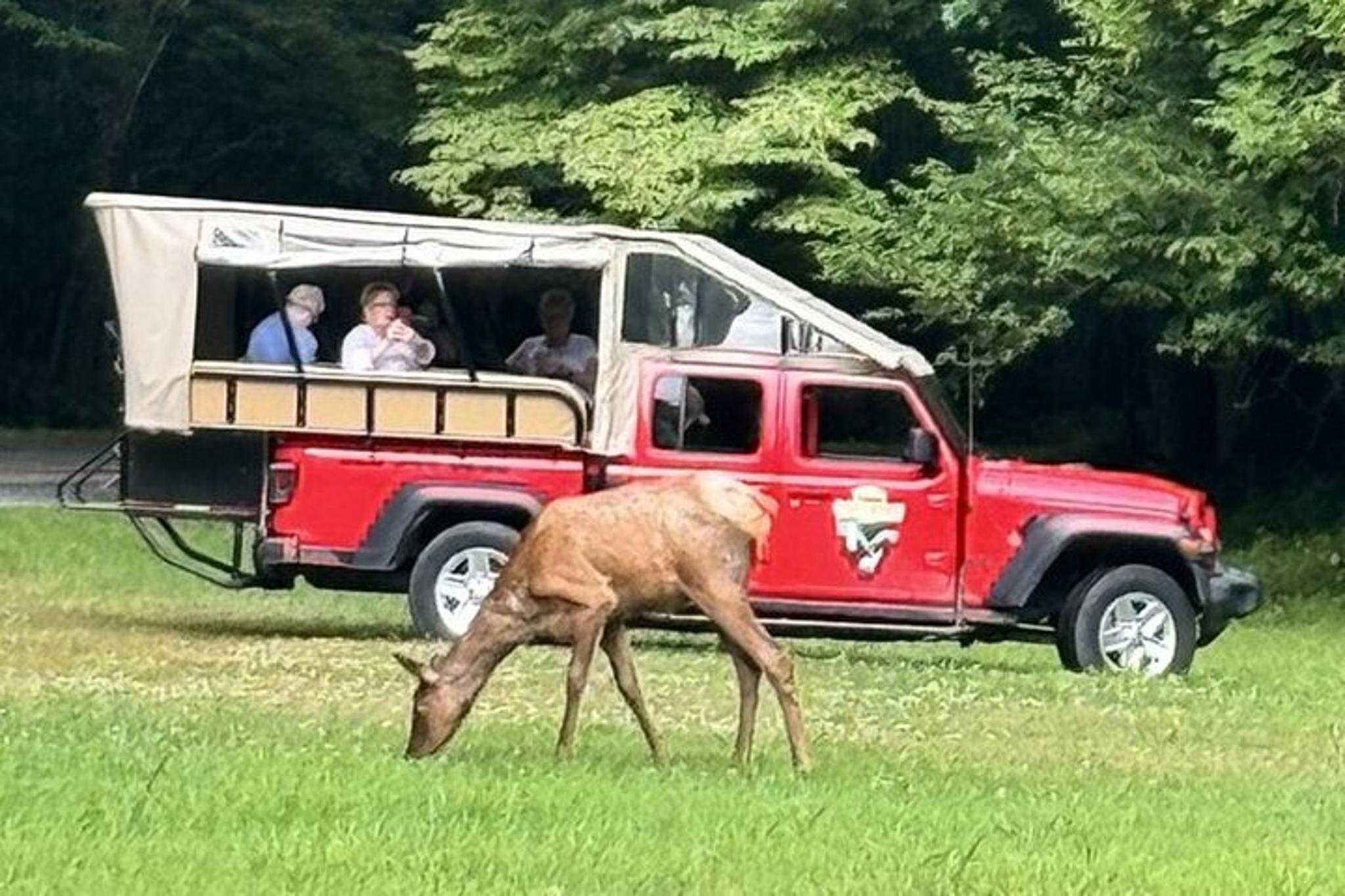 Cherokee Eco Elk Safari Jeep Adventure