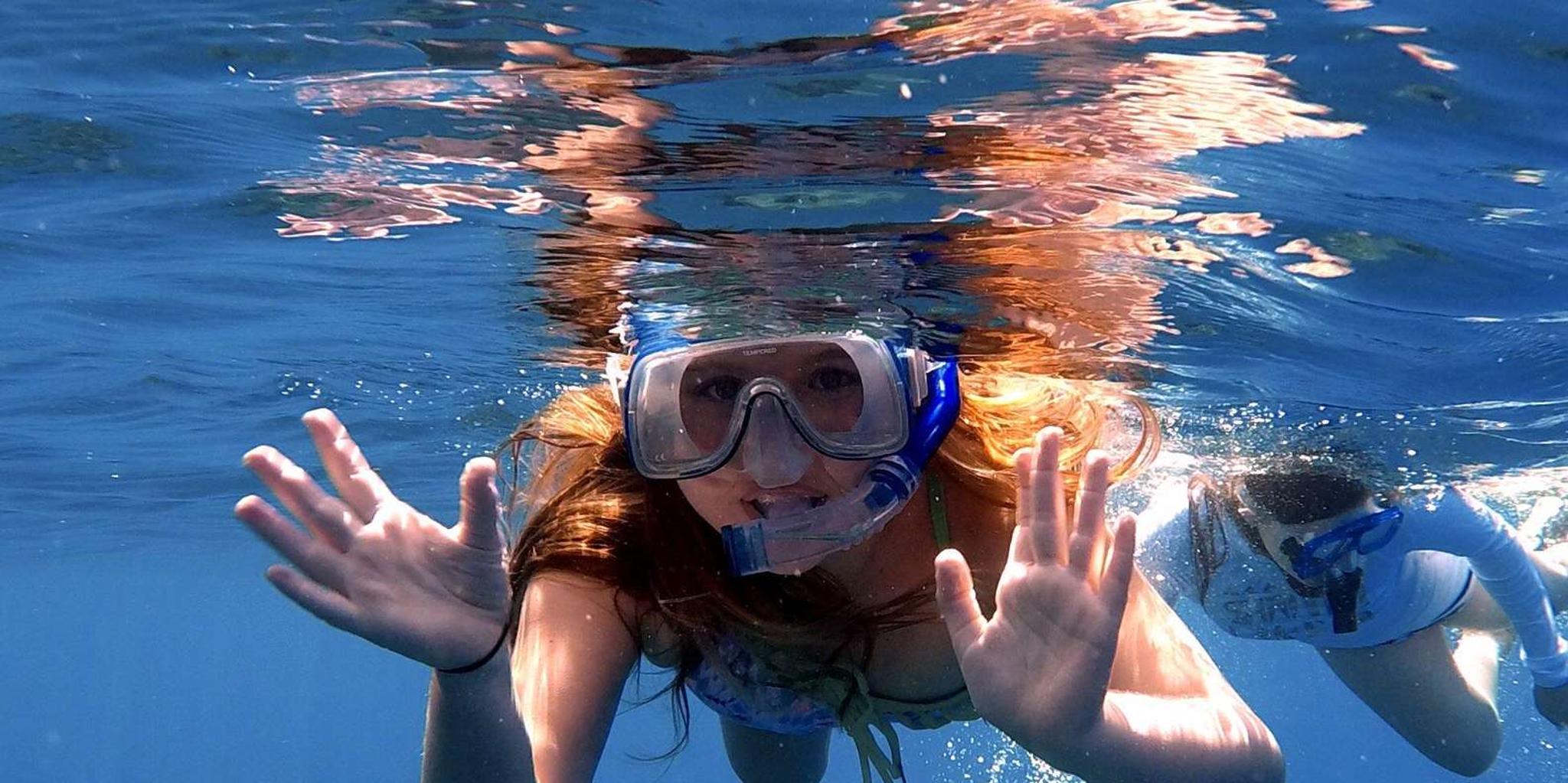 Maui Snorkel and Dolphin Adventure