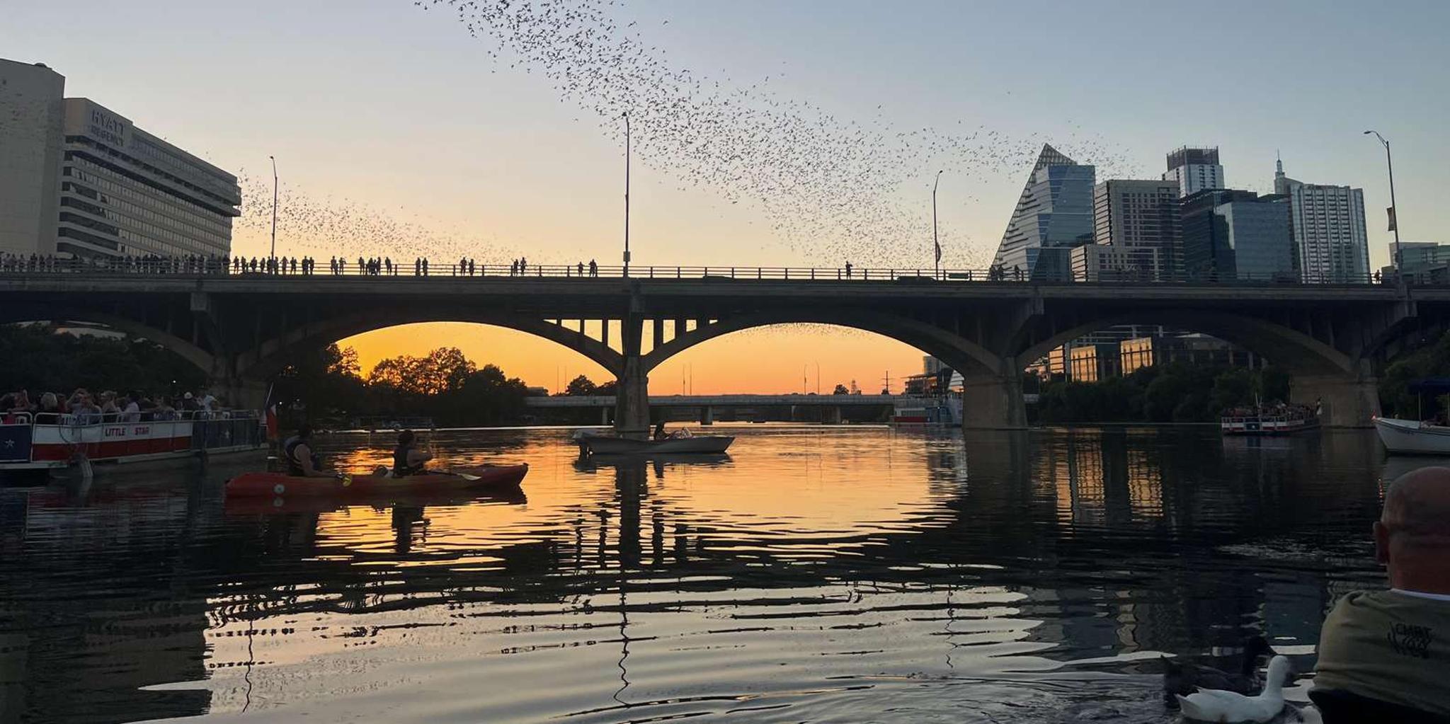 Austin Bat Bridge Paddleboard and Kayak Tour at Sunset - Image 1