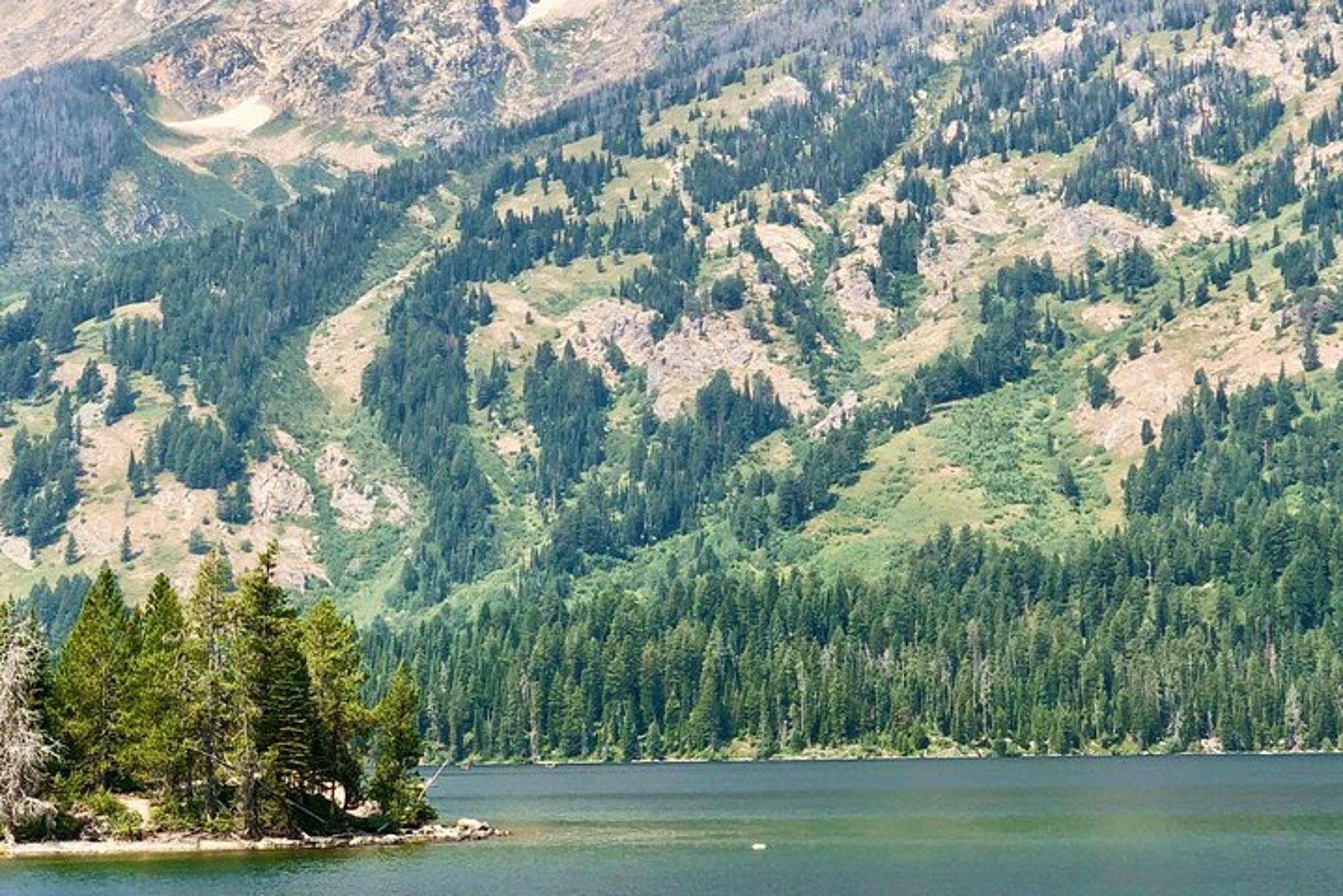 Jackson Hole Scenic Float Trip in Grand Teton National Park - Image 2