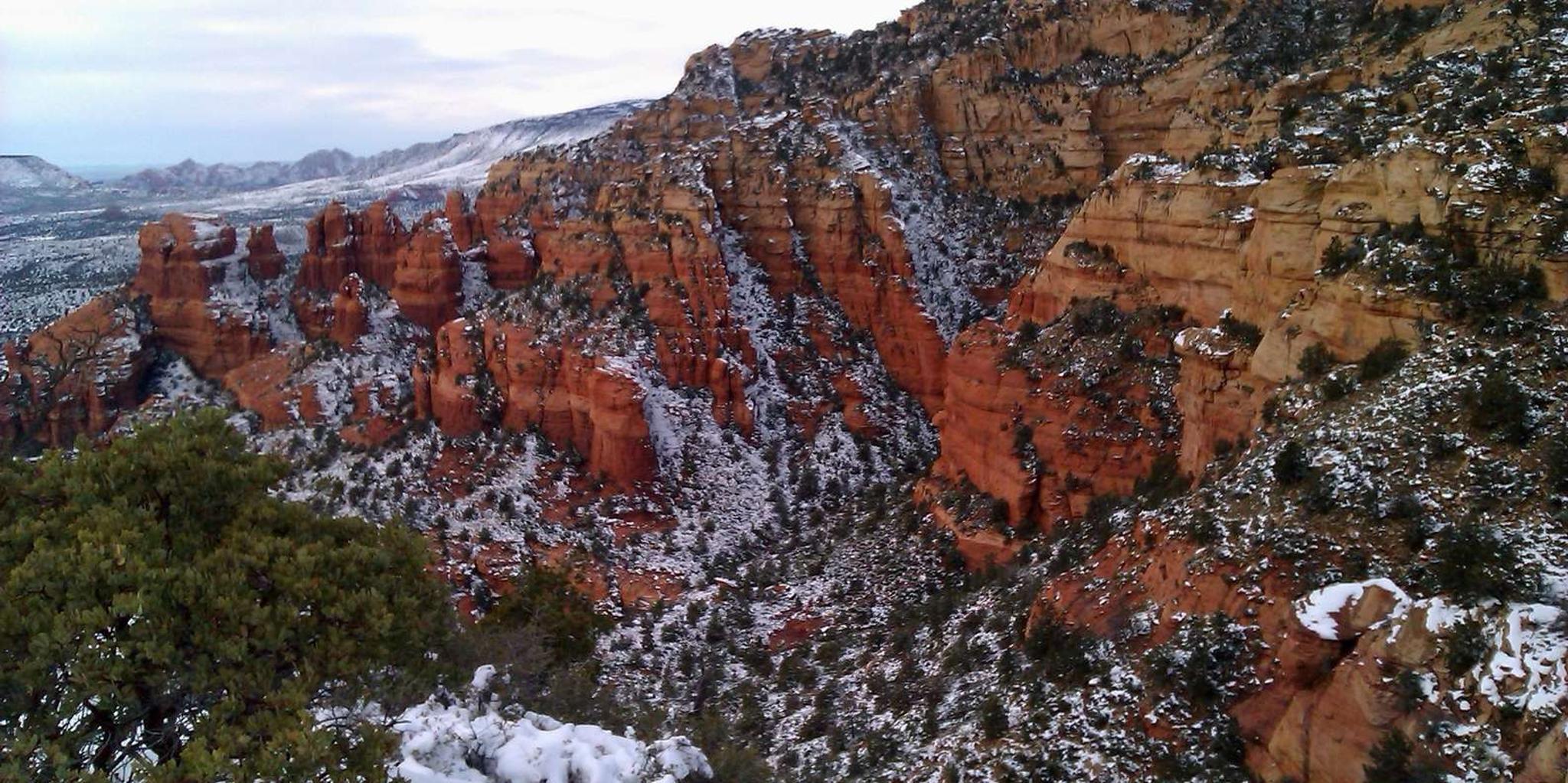 Sedona Jeep Tour of Red Rock West - Image 5