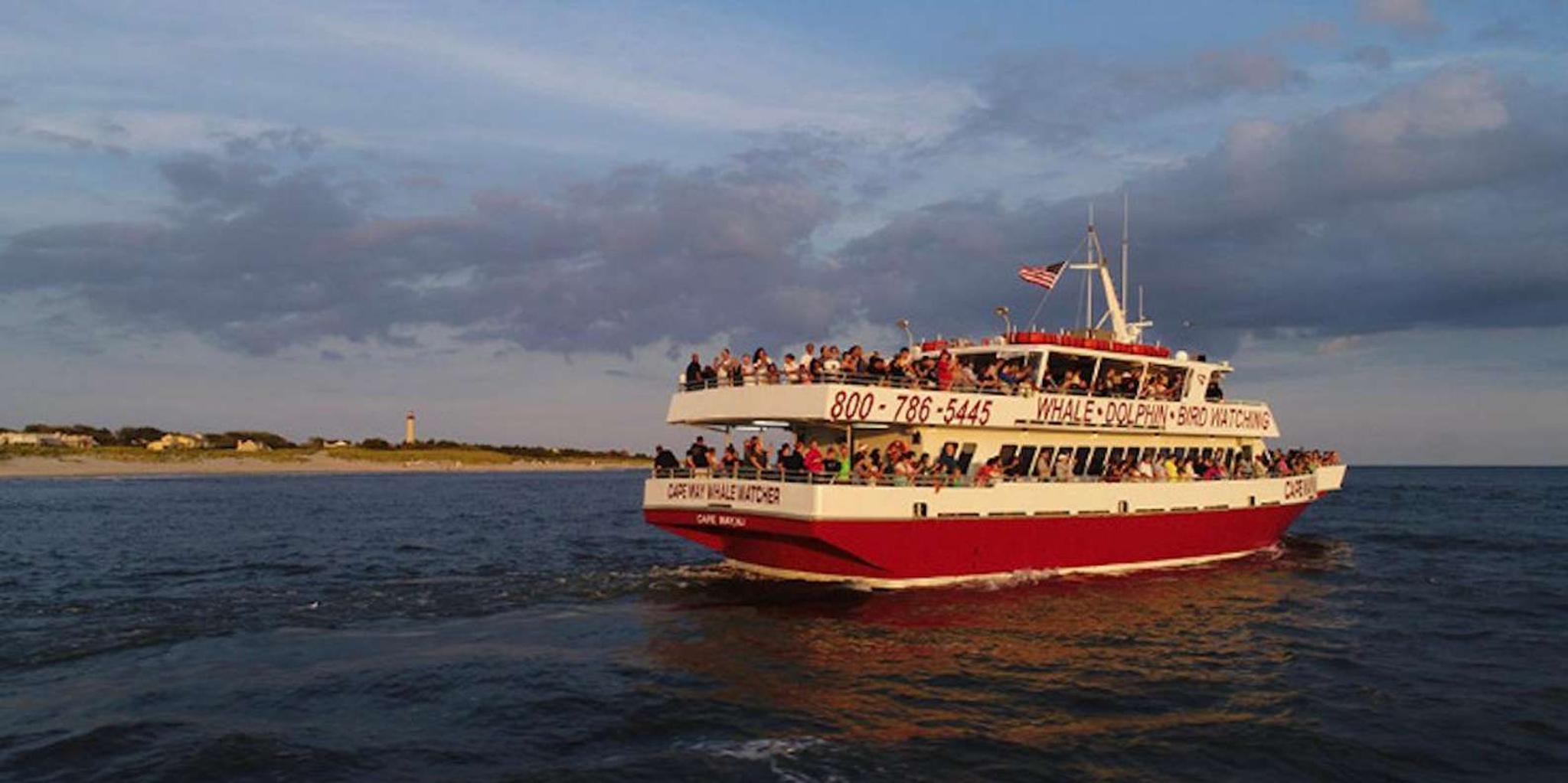 Cape May Dinner Cruise with Dolphin Watching - Image 6