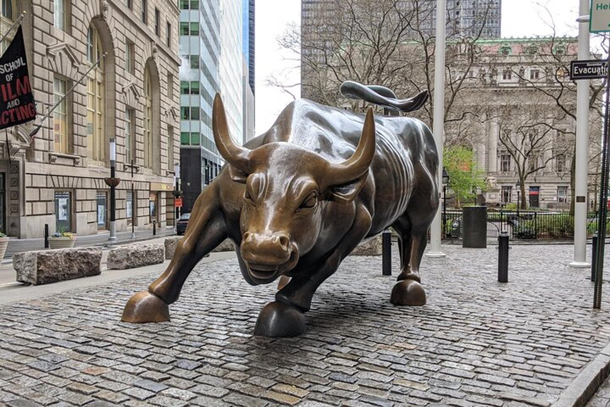 New York Wall Street Walking Tour 2 hr