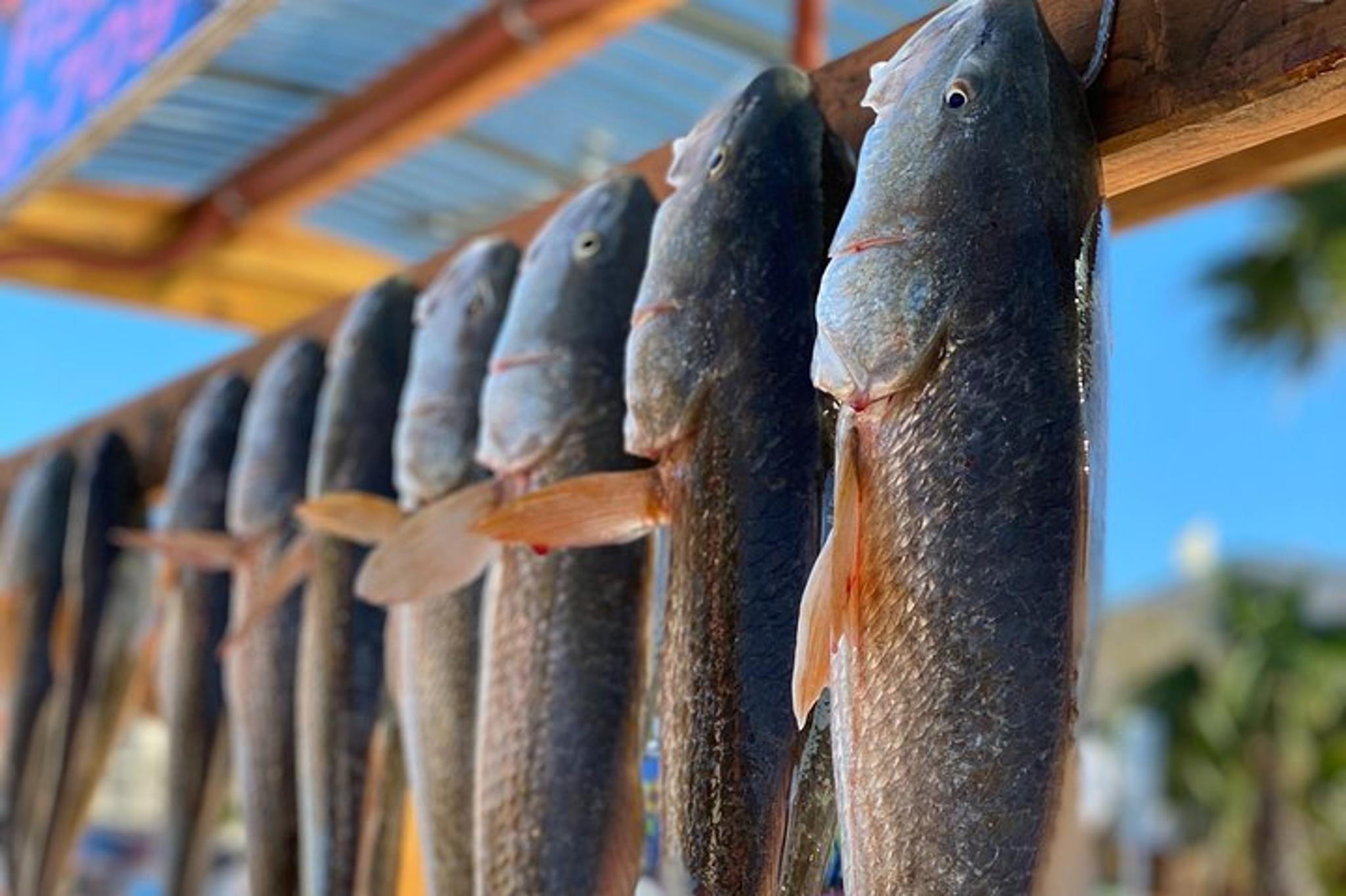 South Padre Island Private Bay Fishing - Image 2