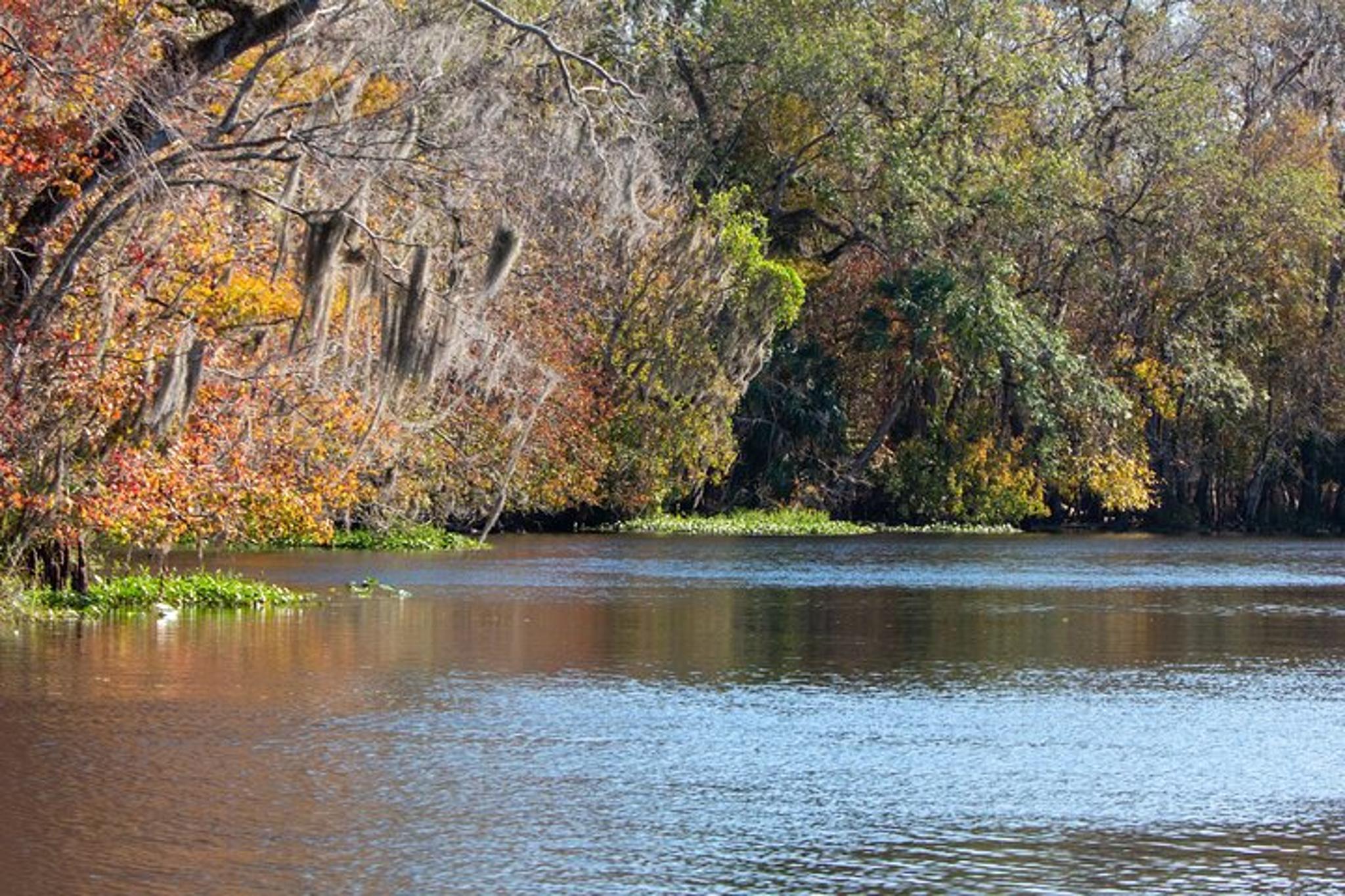 St. Johns River Cruise at Blue Spring State Park - Image 5
