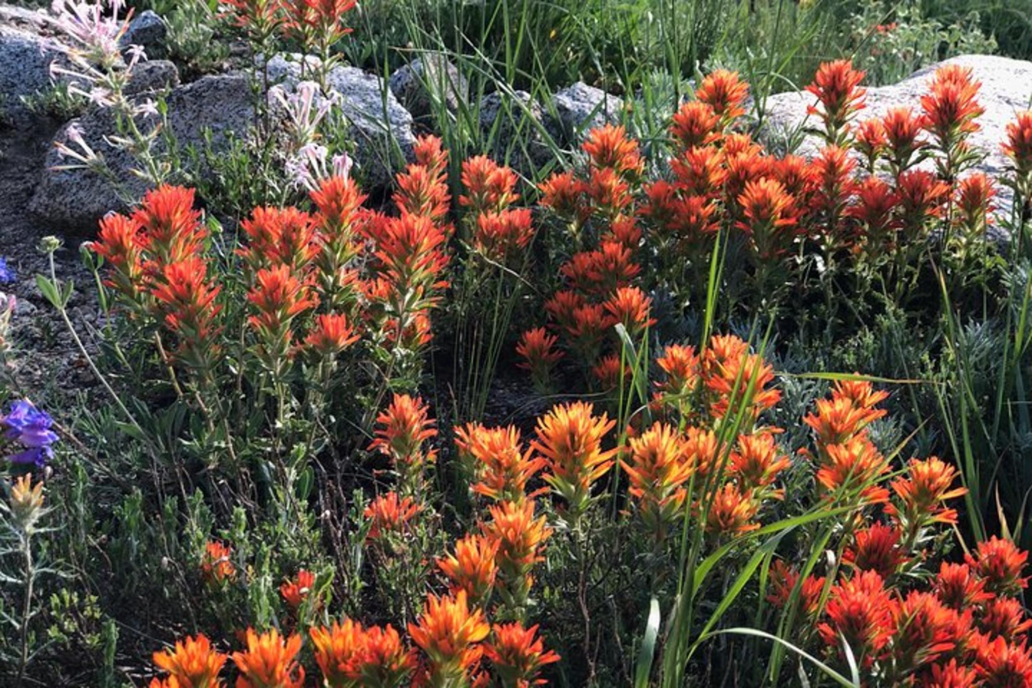 Park City Scenic Mountain Hike - Image 6