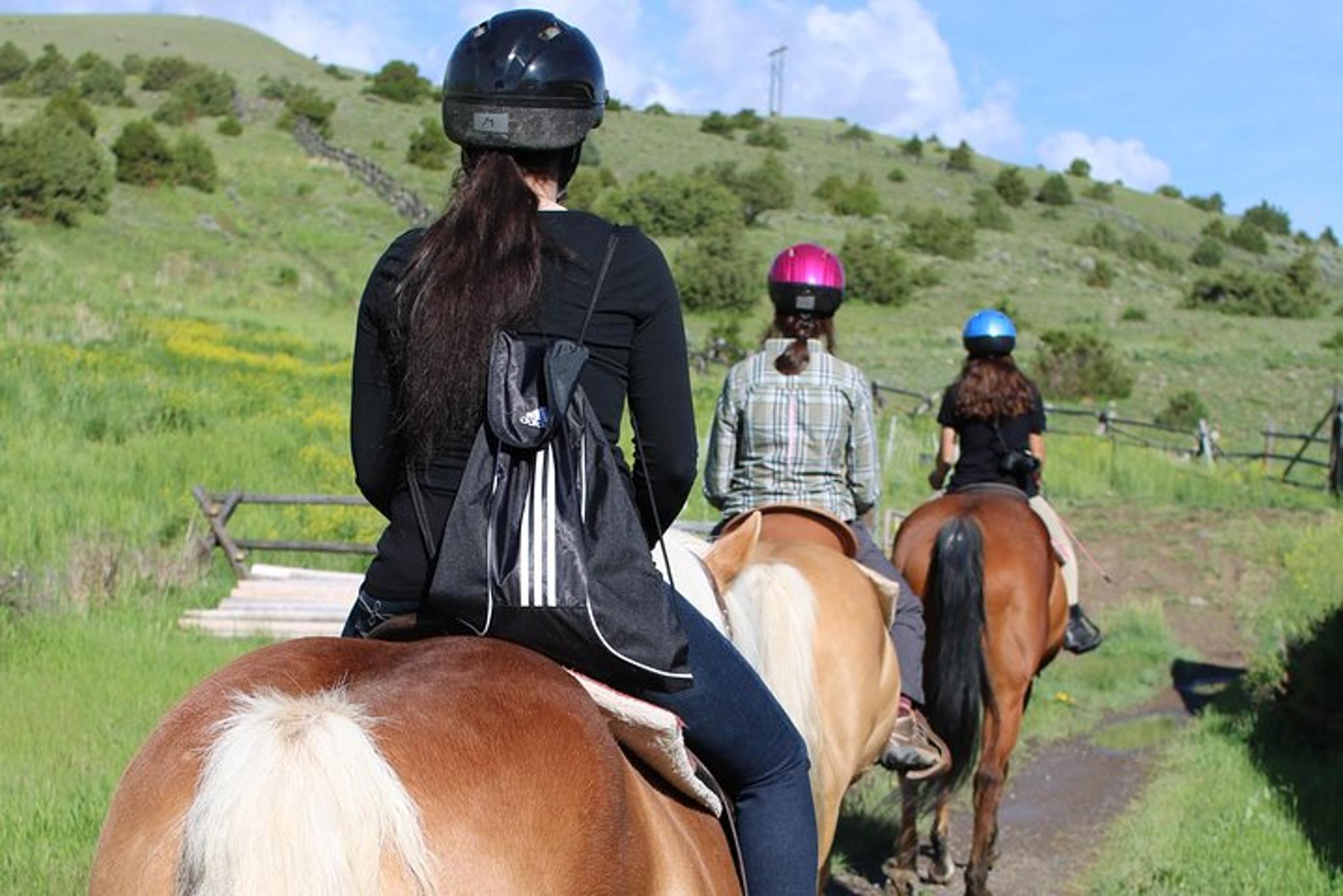 Montana Trail Ride in Paradise Valley 2 hr - Image 2