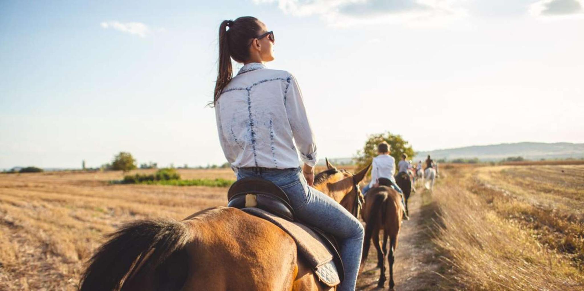 Gettysburg Horseback Battlefield Tour - Image 5
