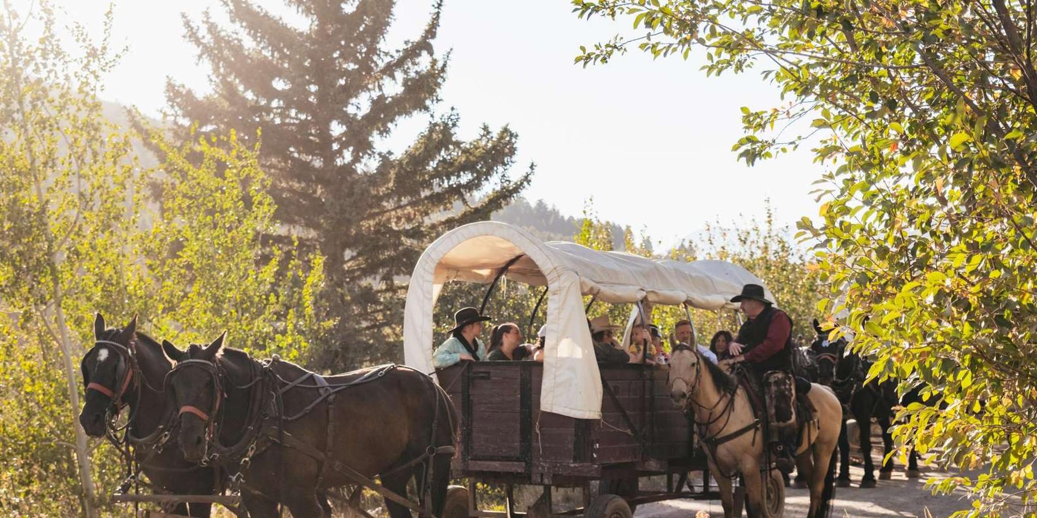 Jackson Chuck Wagon Cookout and Live Show - Image 2